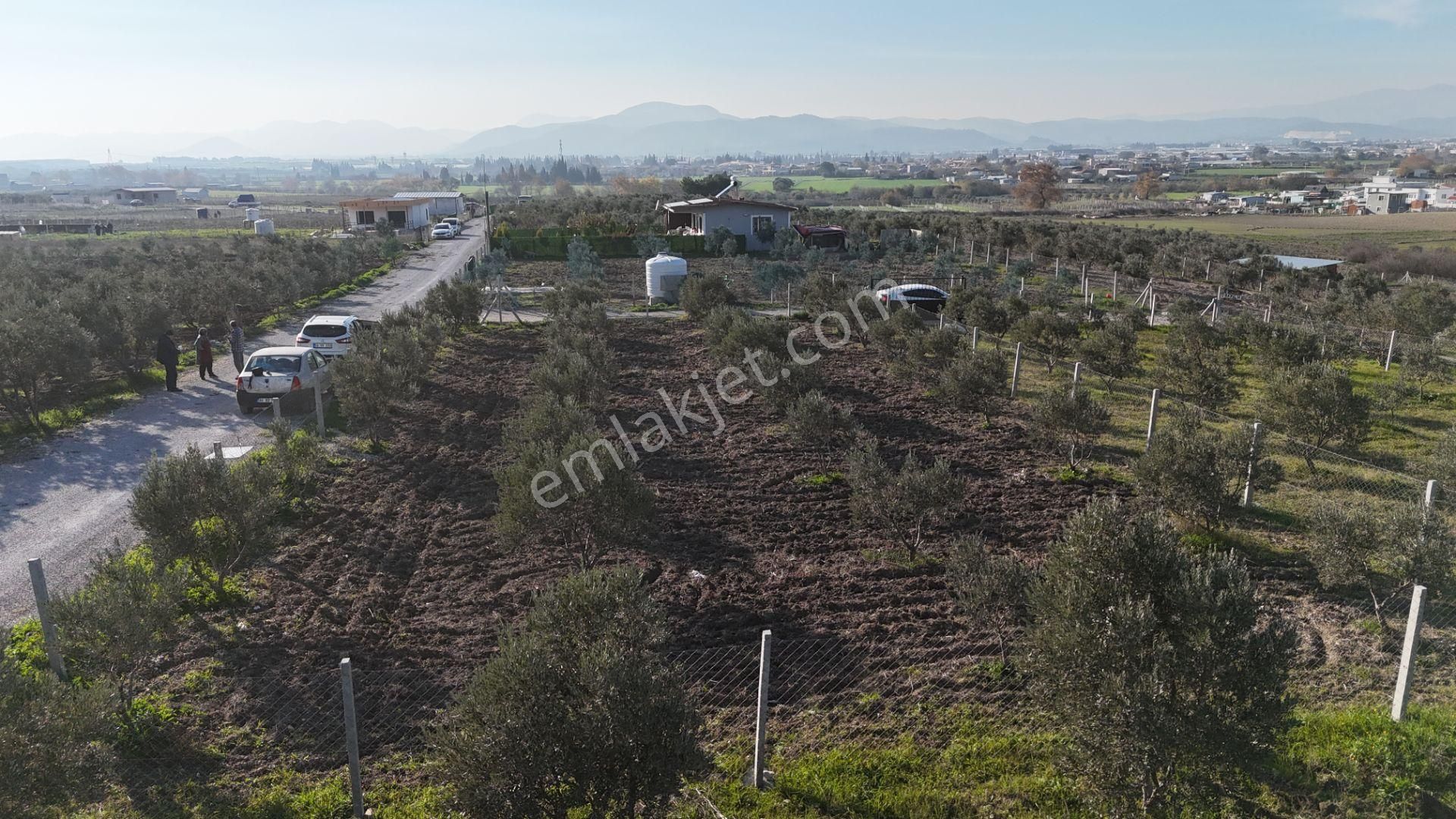 İzmir Menderes Tekeli-develi Üstünde Kupon Hisseli Tapu Zeytinli Bahçe 676 M2 - Görsel 34