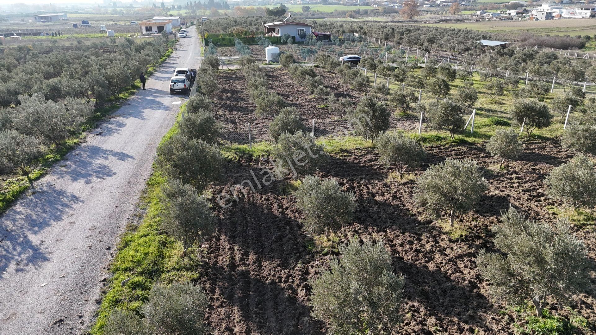 İzmir Menderes Tekeli-develi Üstünde Kupon Hisseli Tapu Zeytinli Bahçe 676 M2 - Görsel 12