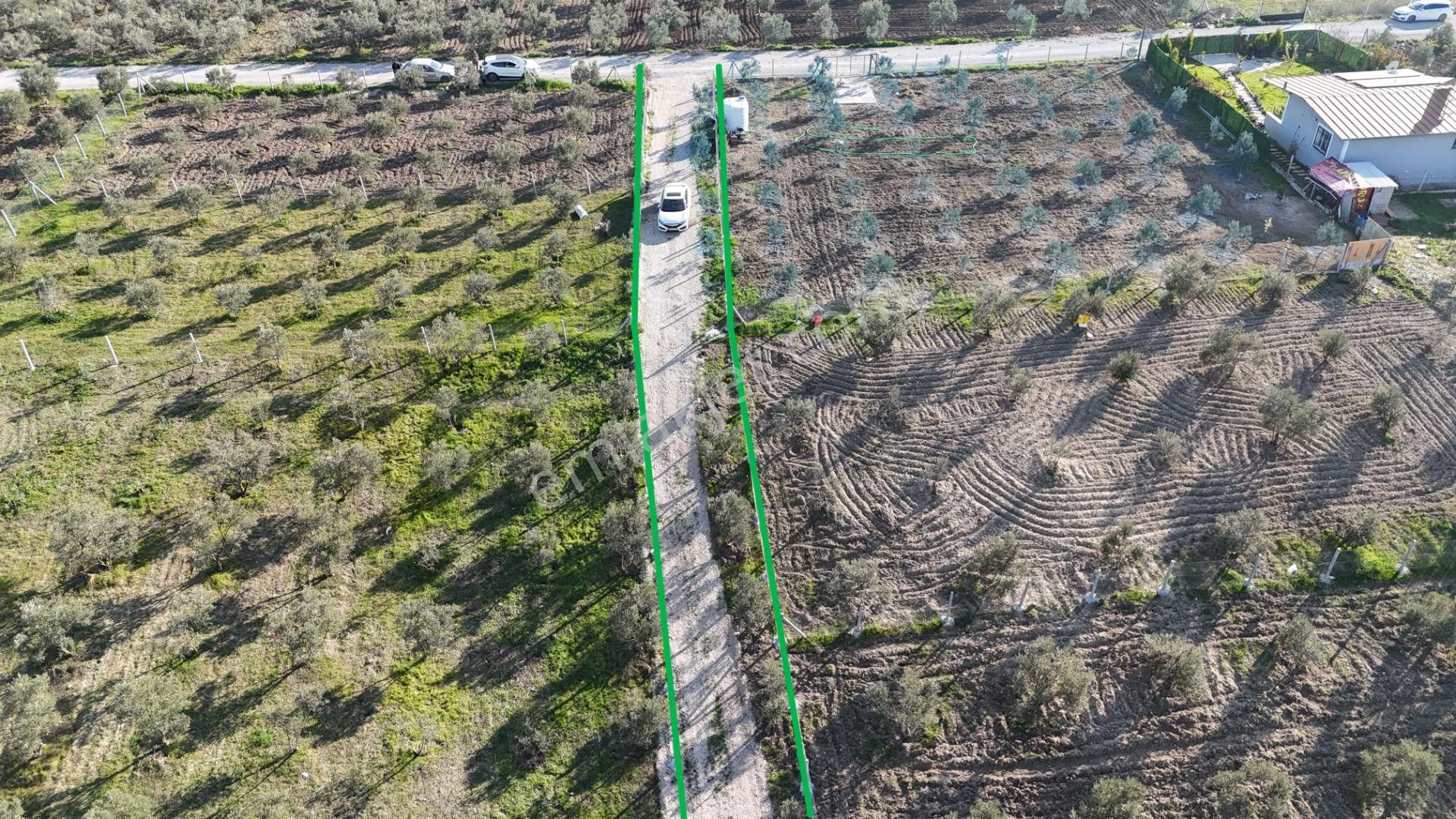 İzmir Menderes Tekeli-develi Üstünde Kupon Hisseli Tapu Zeytinli Bahçe 676 M2 - Görsel 22