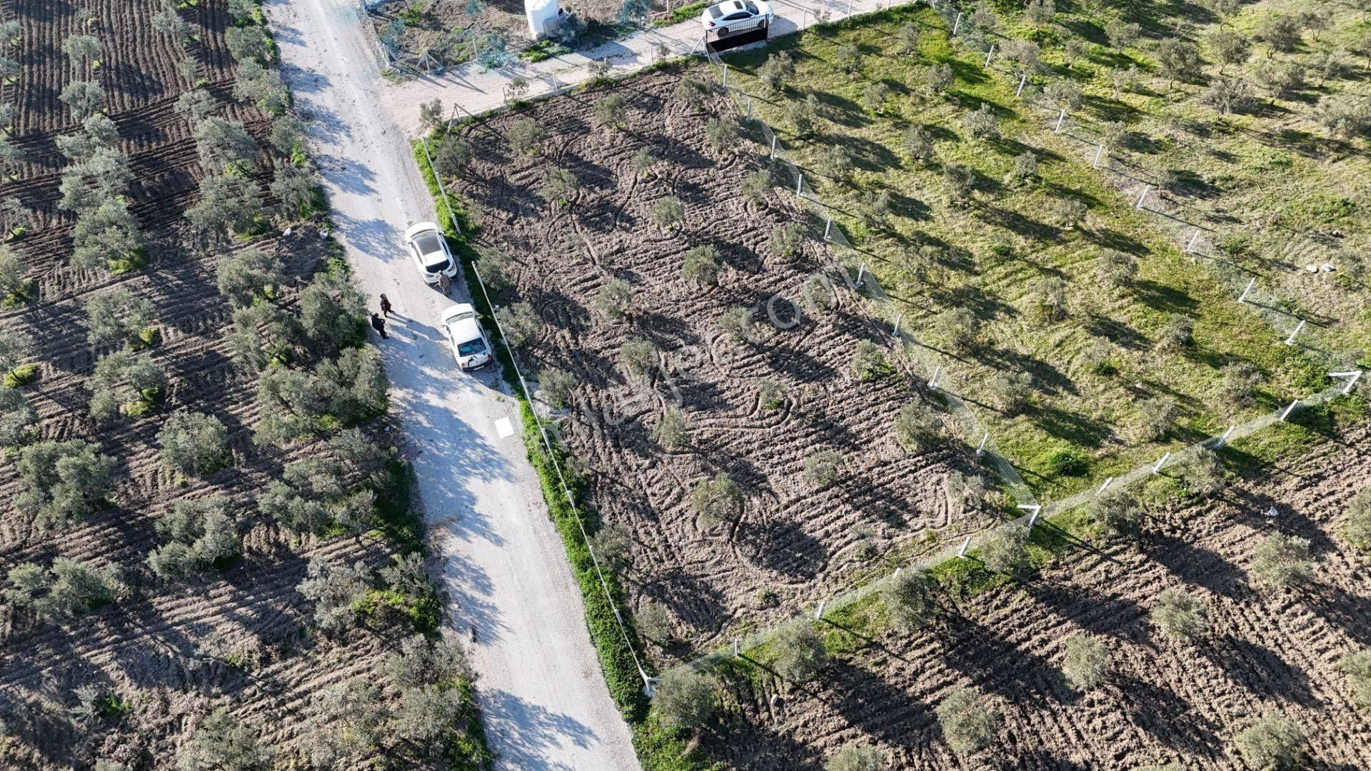 İzmir Menderes Tekeli-develi Üstünde Kupon Hisseli Tapu Zeytinli Bahçe 676 M2 - Görsel 26