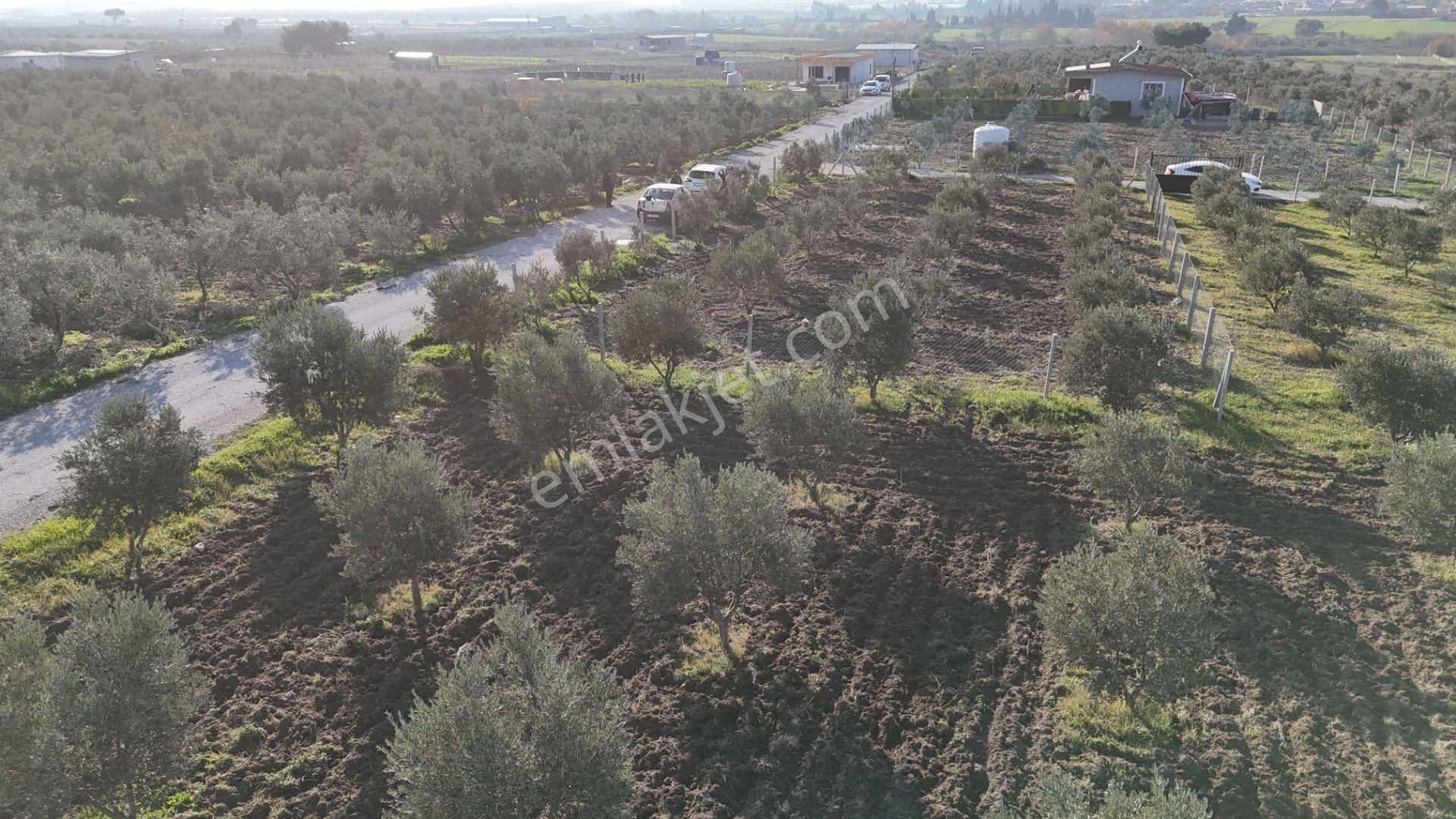 İzmir Menderes Tekeli-develi Üstünde Kupon Hisseli Tapu Zeytinli Bahçe 676 M2 - Görsel 35