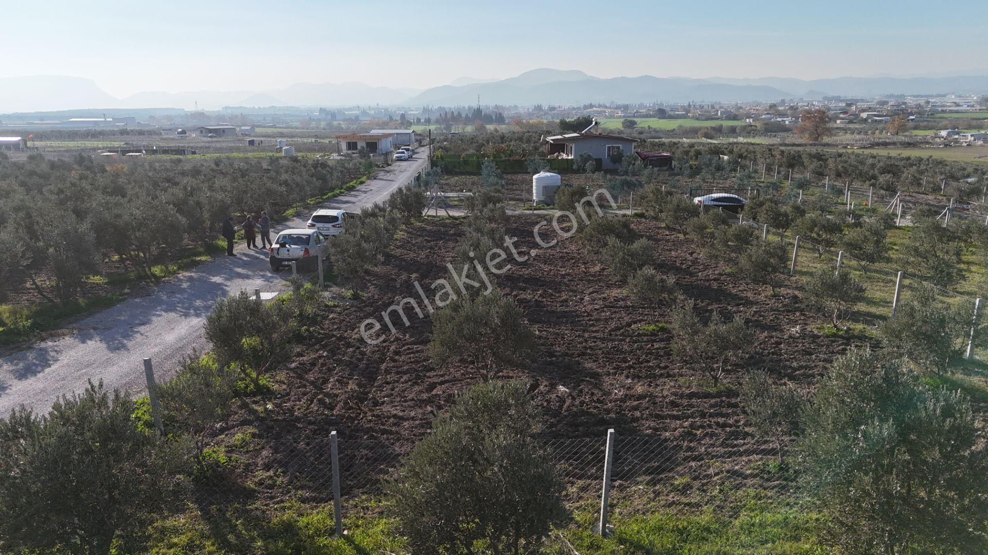 İzmir Menderes Tekeli-develi Üstünde Kupon Hisseli Tapu Zeytinli Bahçe 676 M2 - Görsel 28