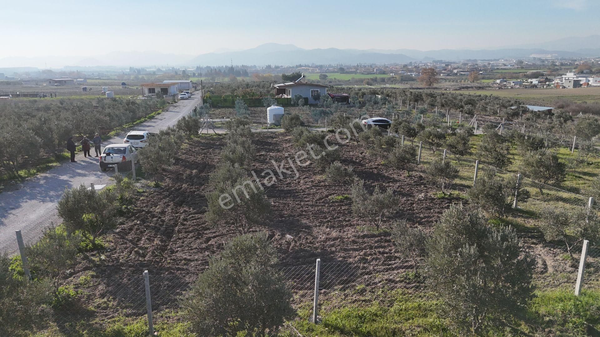 İzmir Menderes Tekeli-develi Üstünde Kupon Hisseli Tapu Zeytinli Bahçe 676 M2 - Görsel 31