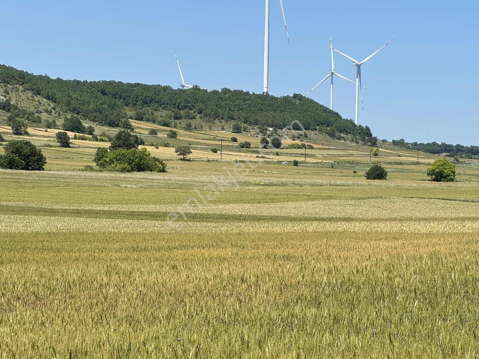 Vize Evrencik Mahallesinde Bulunan 300 M2 Yerimiz Satışta - Görsel 2