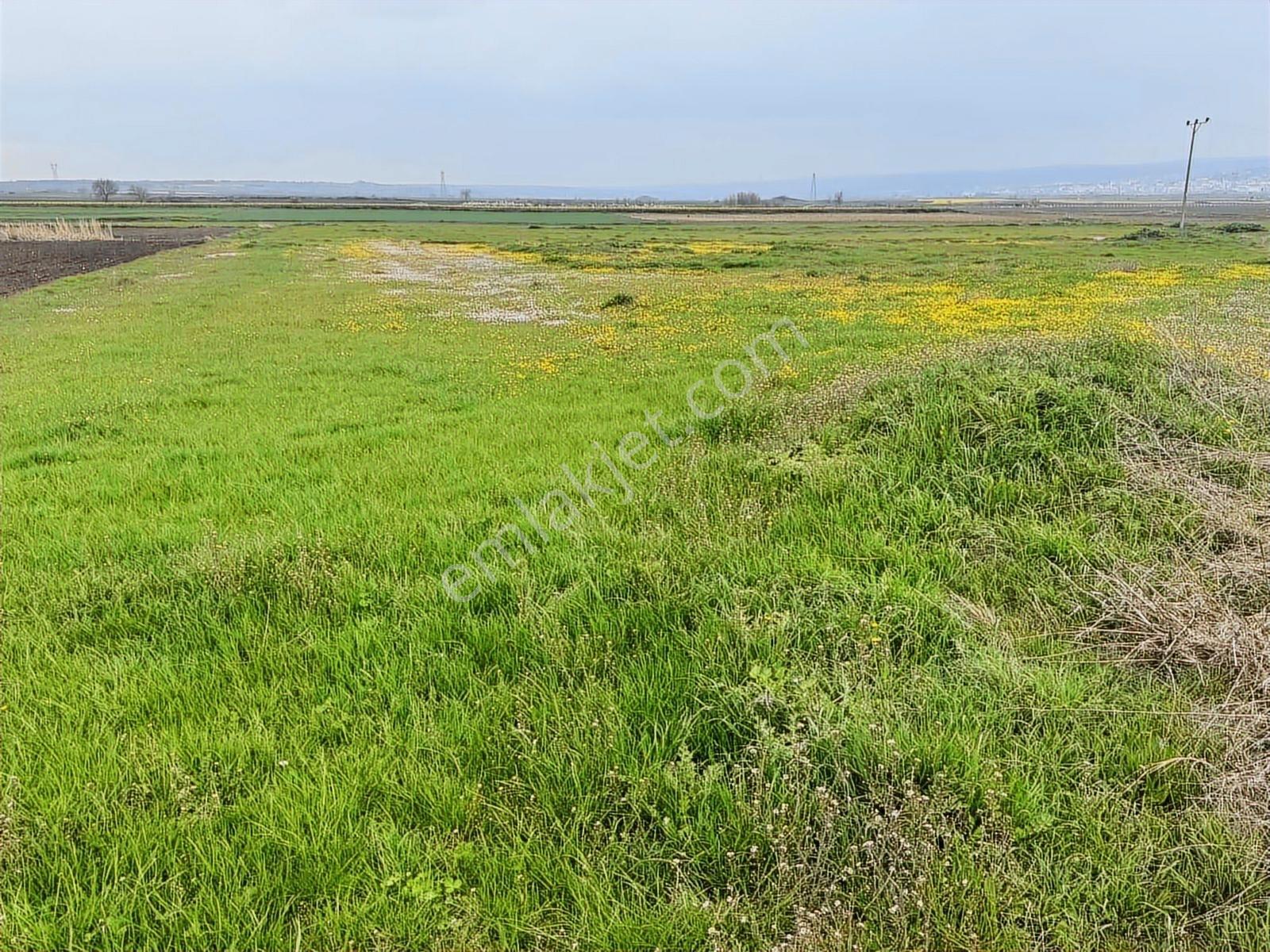 Vize Düzova Mahalle Yanında 225 M2 Yerimiz Satışta (uygun Fiyat) - Görsel 13