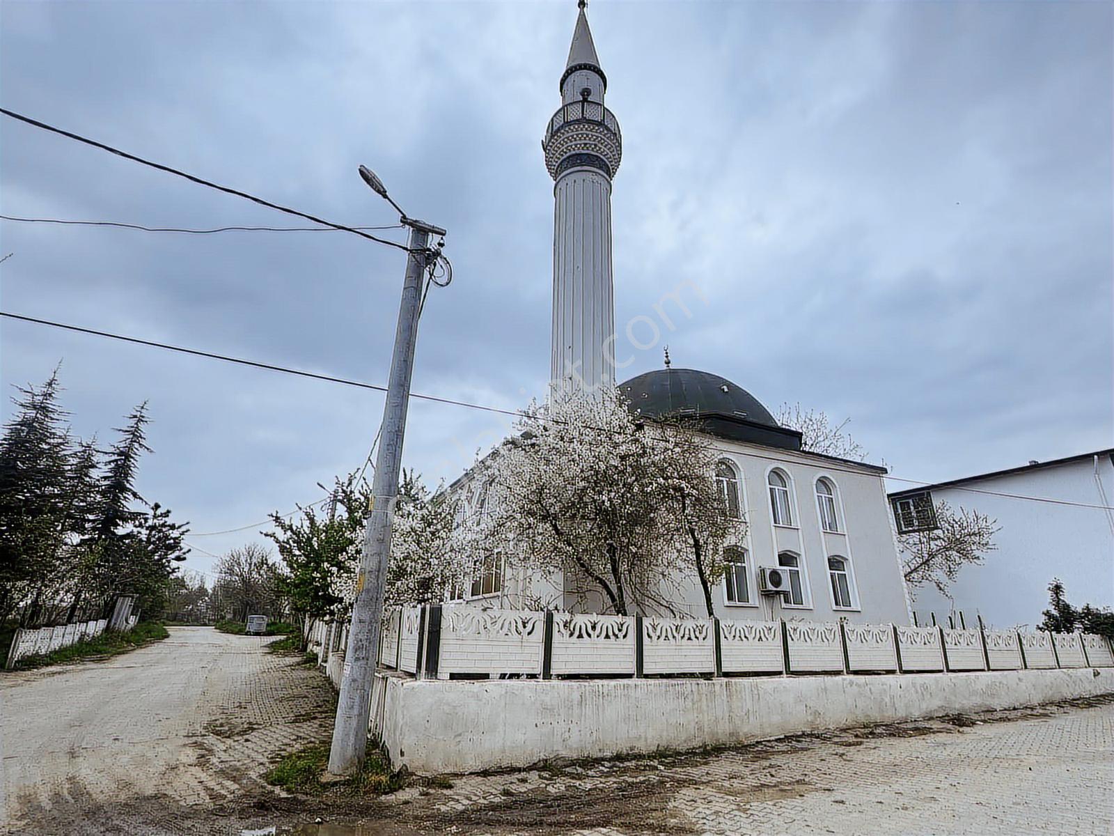 Vize Düzova Mahalle Yanında 225 M2 Yerimiz Satışta (uygun Fiyat) - Görsel 2