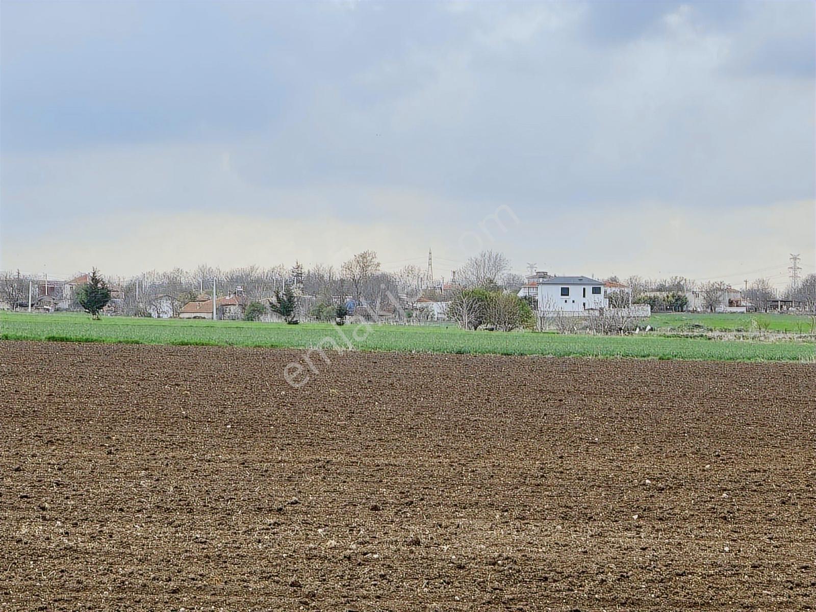 Vize Düzova Mahalle Yanında 225 M2 Yerimiz Satışta (uygun Fiyat) - Görsel 14