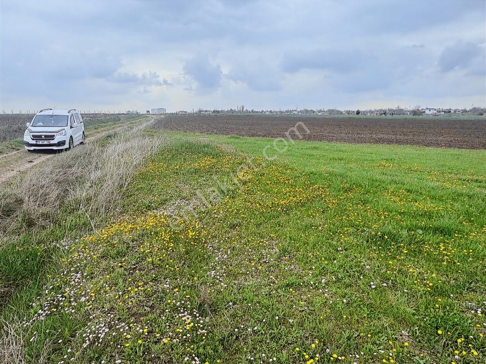 Vize Düzova Mahalle Yanında 225 M2 Yerimiz Satışta (uygun Fiyat) - Görsel 8