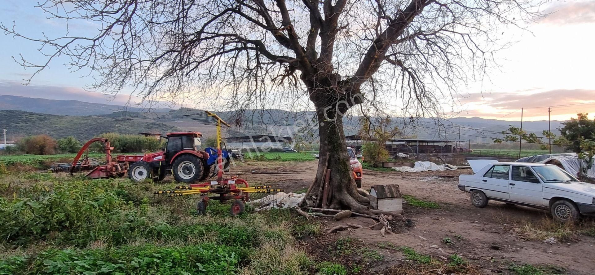 Aydın Nazilli Yöntem Emlaktan Yenipazar Çarşı Mahallesinde Satılık Hobi Bahçesi - Görsel 22