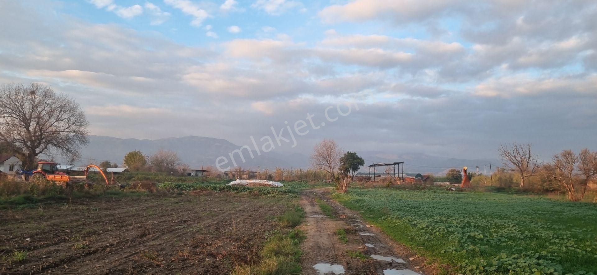 Aydın Nazilli Yöntem Emlaktan Yenipazar Çarşı Mahallesinde Satılık Hobi Bahçesi - Görsel 3
