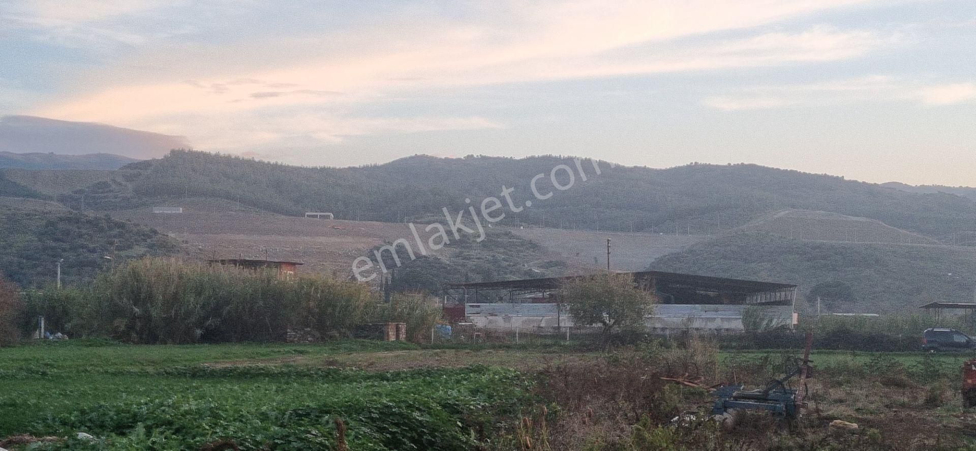 Aydın Nazilli Yöntem Emlaktan Yenipazar Çarşı Mahallesinde Satılık Hobi Bahçesi - Görsel 12