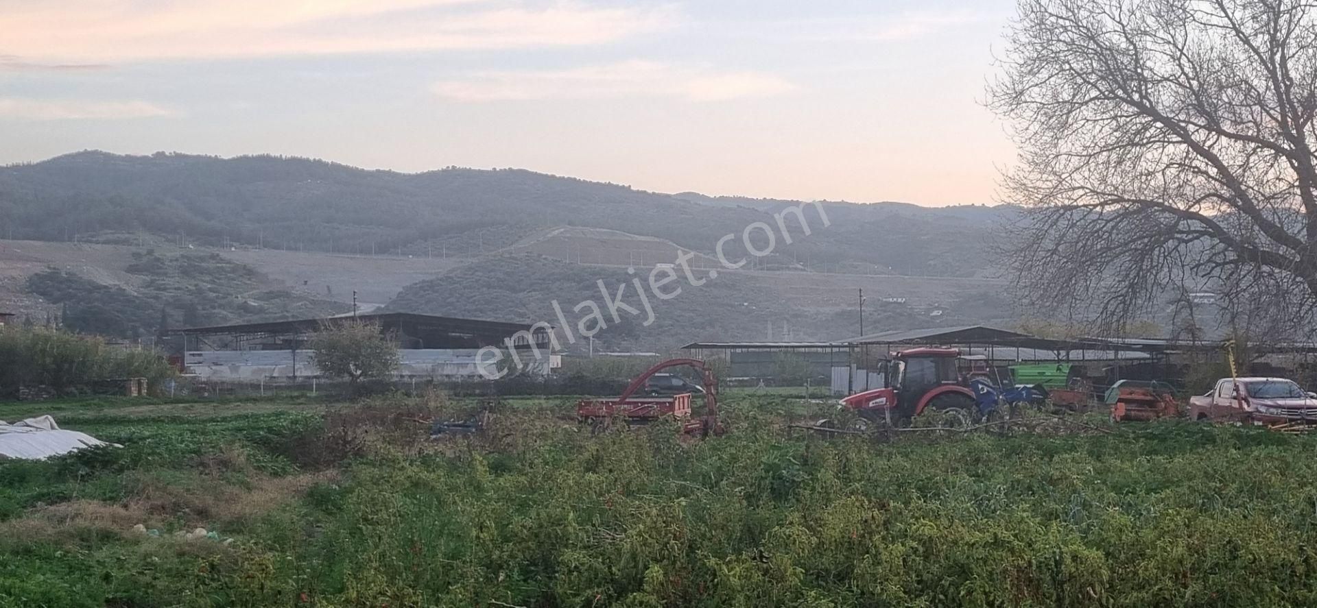 Aydın Nazilli Yöntem Emlaktan Yenipazar Çarşı Mahallesinde Satılık Hobi Bahçesi - Görsel 29
