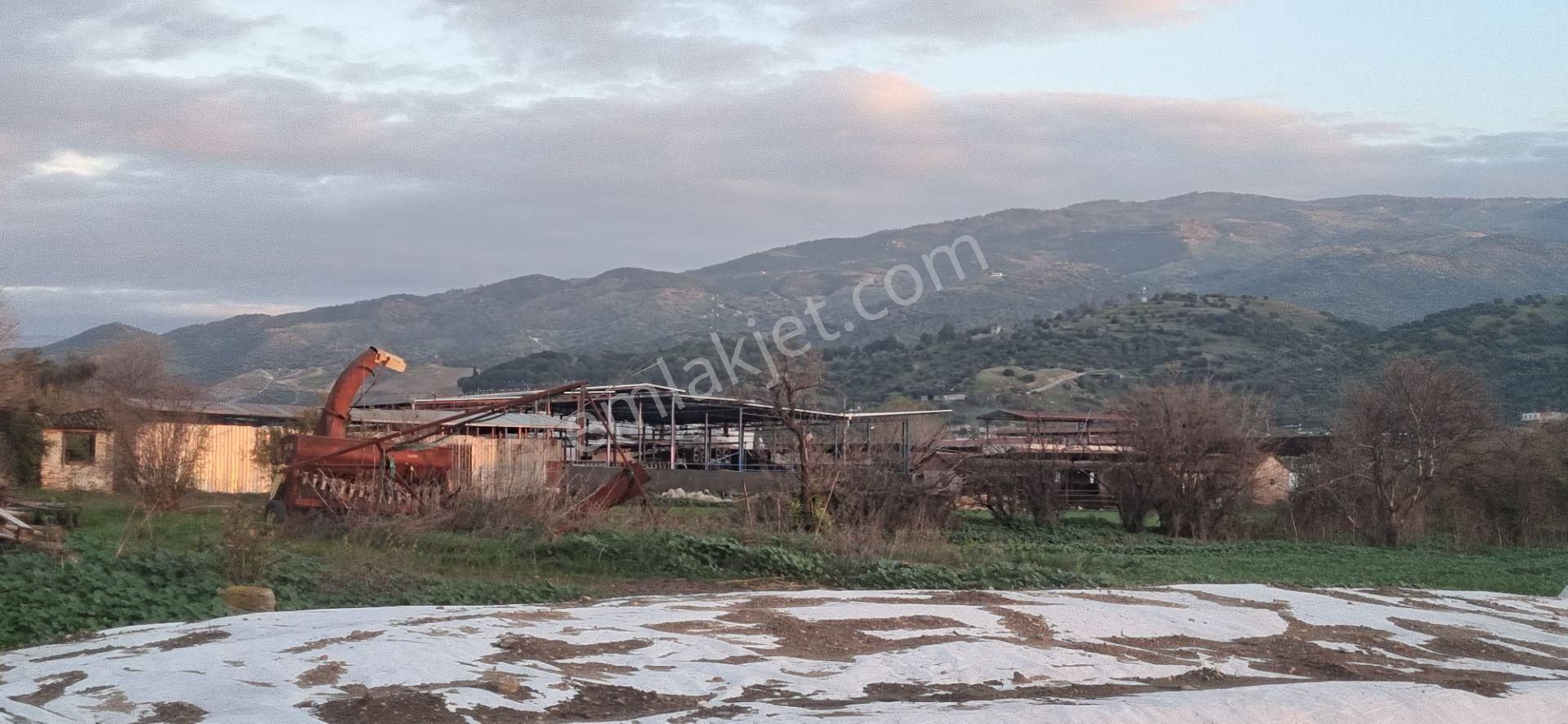Aydın Nazilli Yöntem Emlaktan Yenipazar Çarşı Mahallesinde Satılık Hobi Bahçesi - Görsel 14