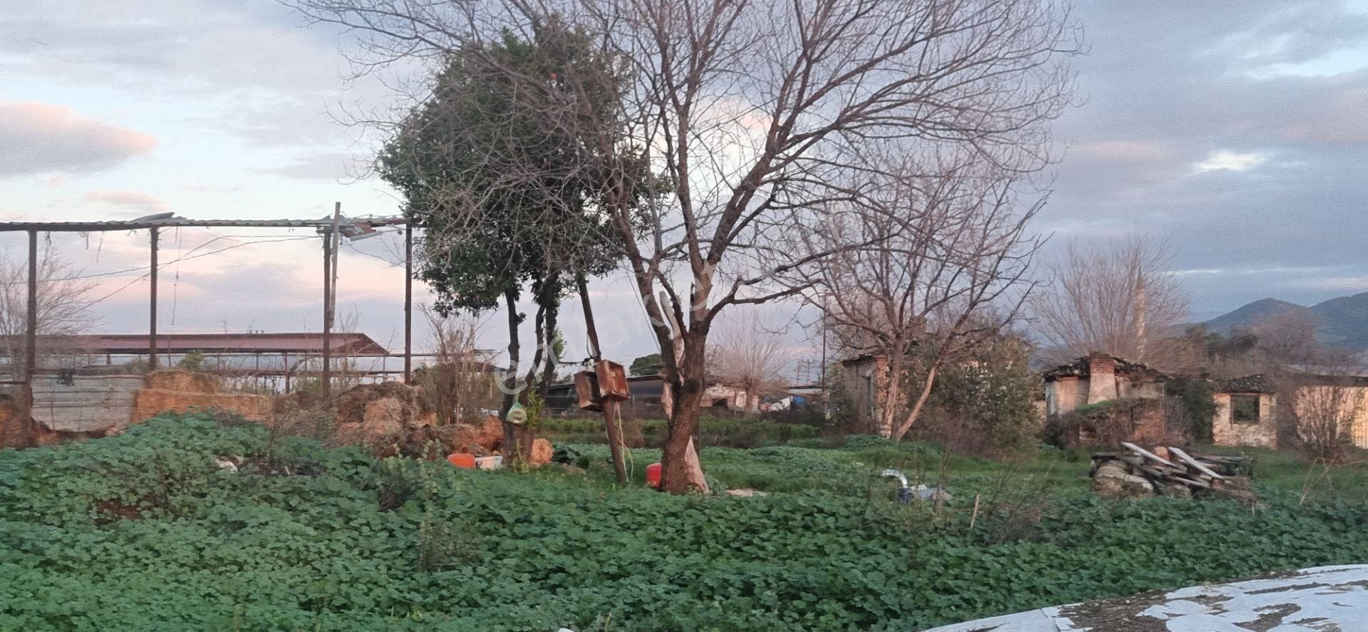Aydın Nazilli Yöntem Emlaktan Yenipazar Çarşı Mahallesinde Satılık Hobi Bahçesi - Görsel 15