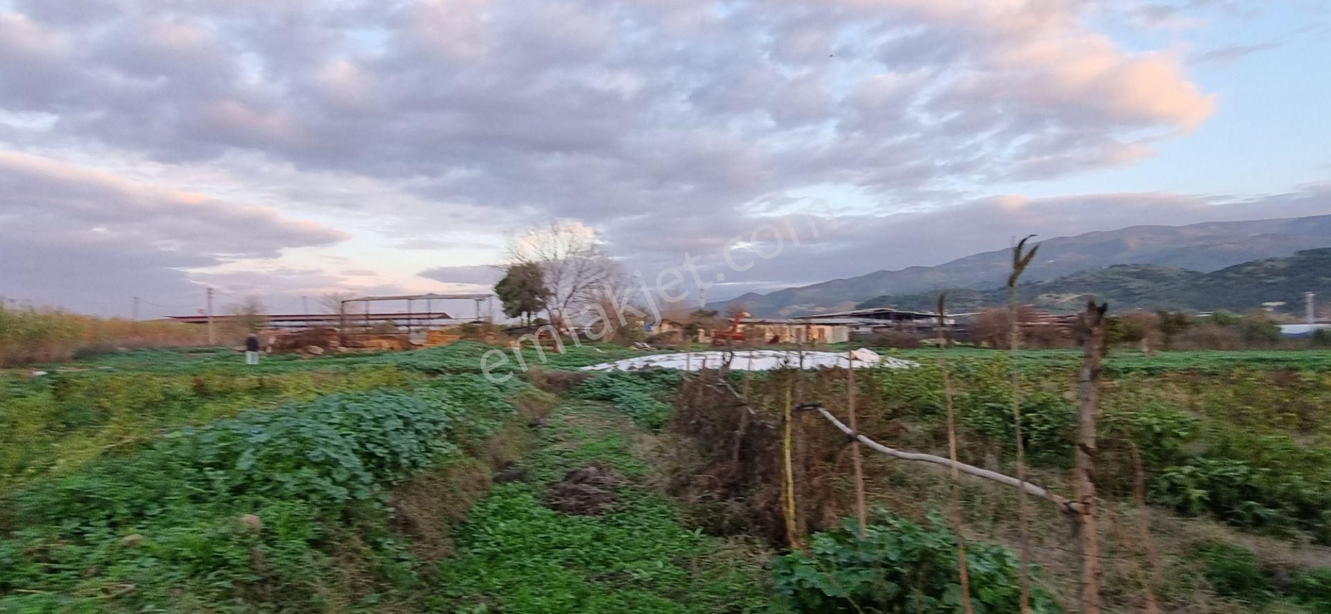 Aydın Nazilli Yöntem Emlaktan Yenipazar Çarşı Mahallesinde Satılık Hobi Bahçesi - Görsel 20