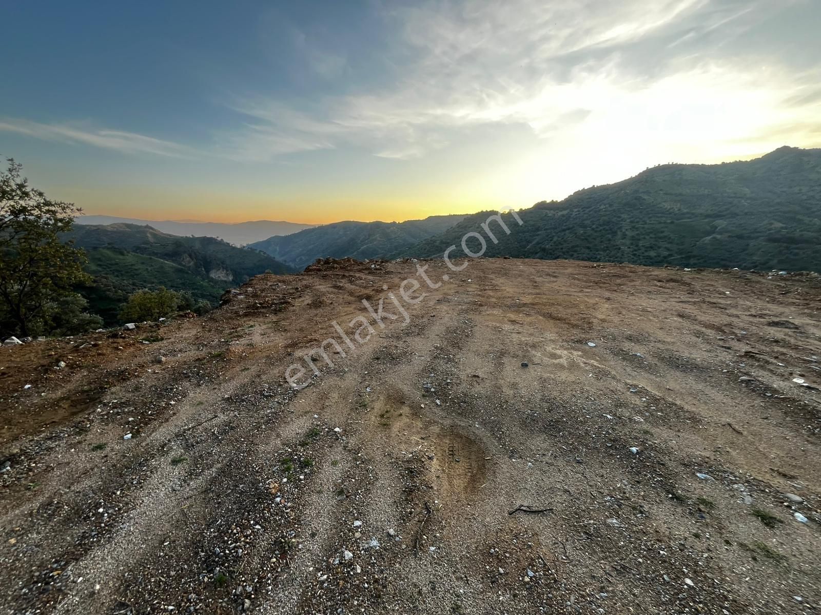 Aydın Efelerde 3 Tapu Tek Fiyat Manzaralı Zeytinlik