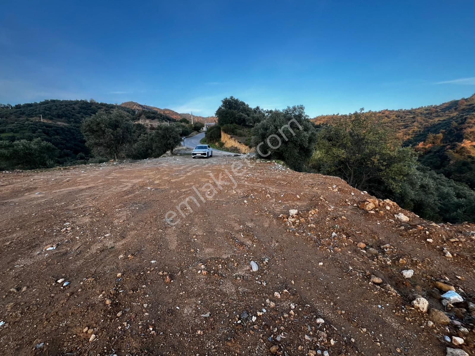Aydın Efelerde 3 Tapu Tek Fiyat Manzaralı Zeytinlik - Görsel 11