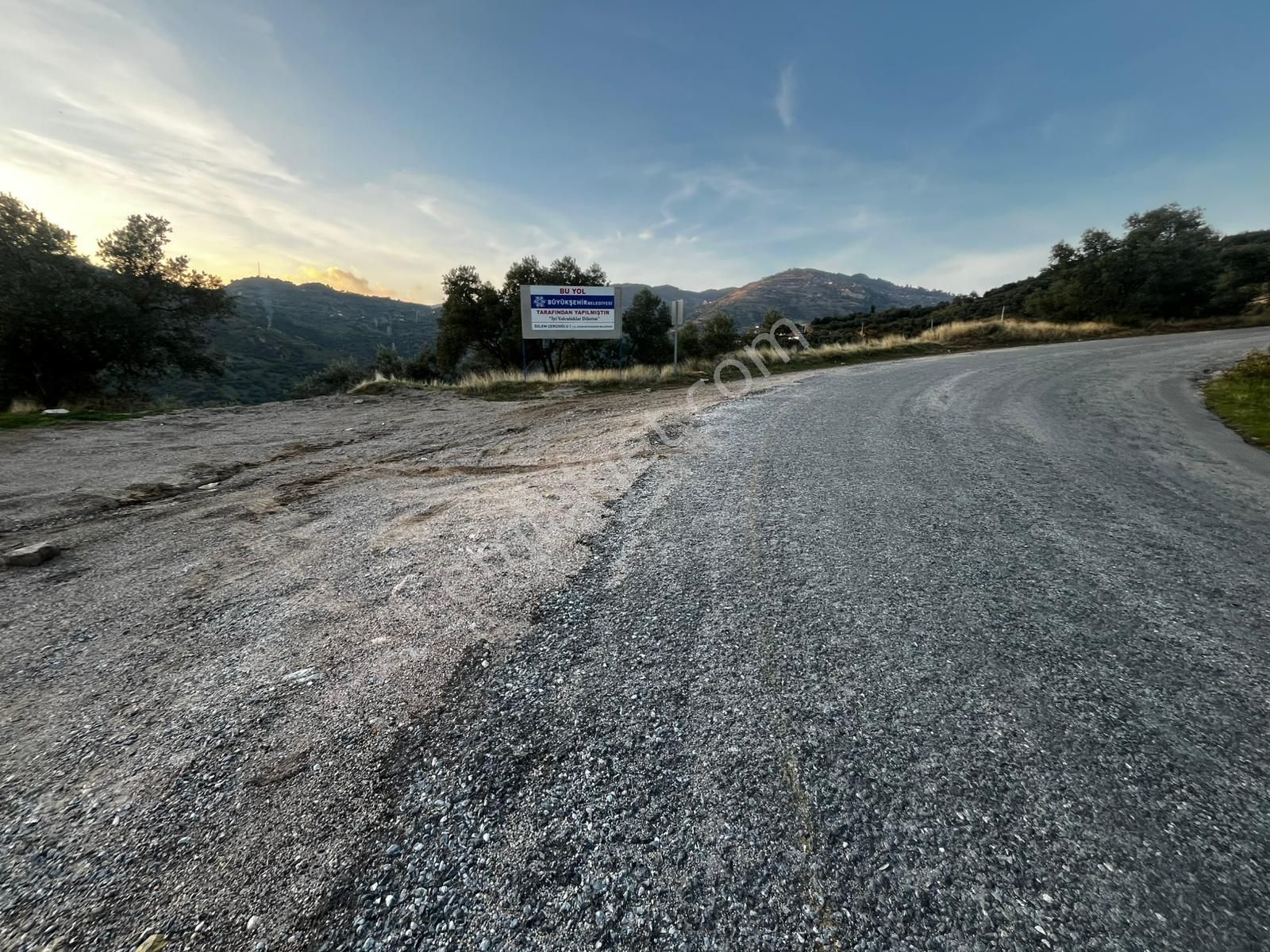 Aydın Efelerde 3 Tapu Tek Fiyat Manzaralı Zeytinlik - Görsel 2