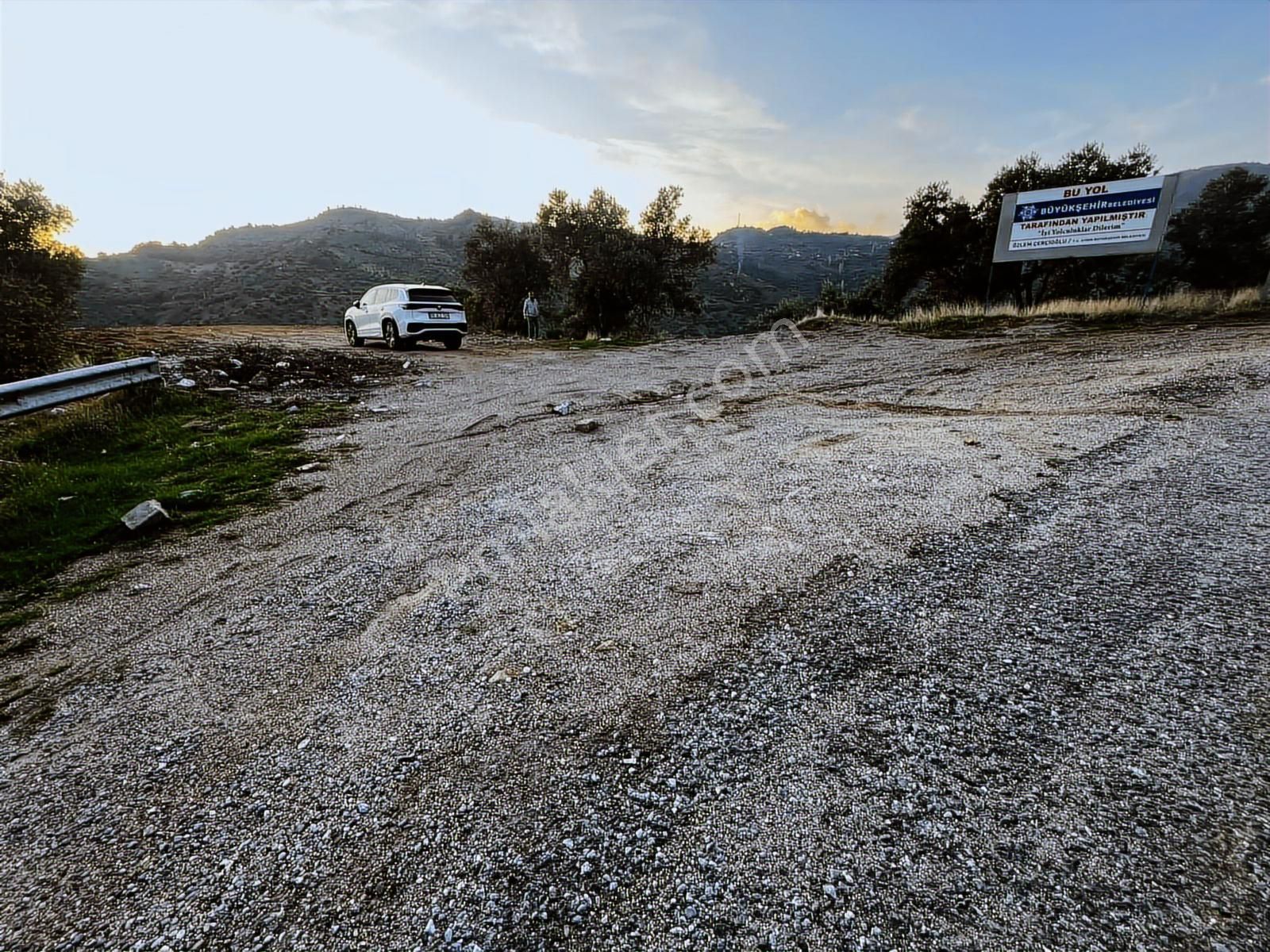 Aydın Efelerde 3 Tapu Tek Fiyat Manzaralı Zeytinlik - Görsel 6