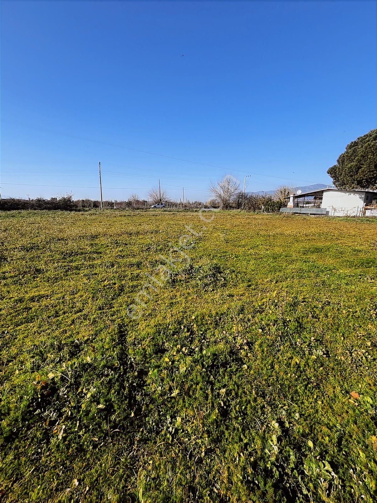 Aydın Efeler Umurlu Mahallesi İşletmeler Bölgesinde Satılık - Görsel 29