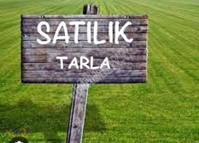 Antalya Akyarı Yaylası Kaçırılmayacak Fırsat Arazi