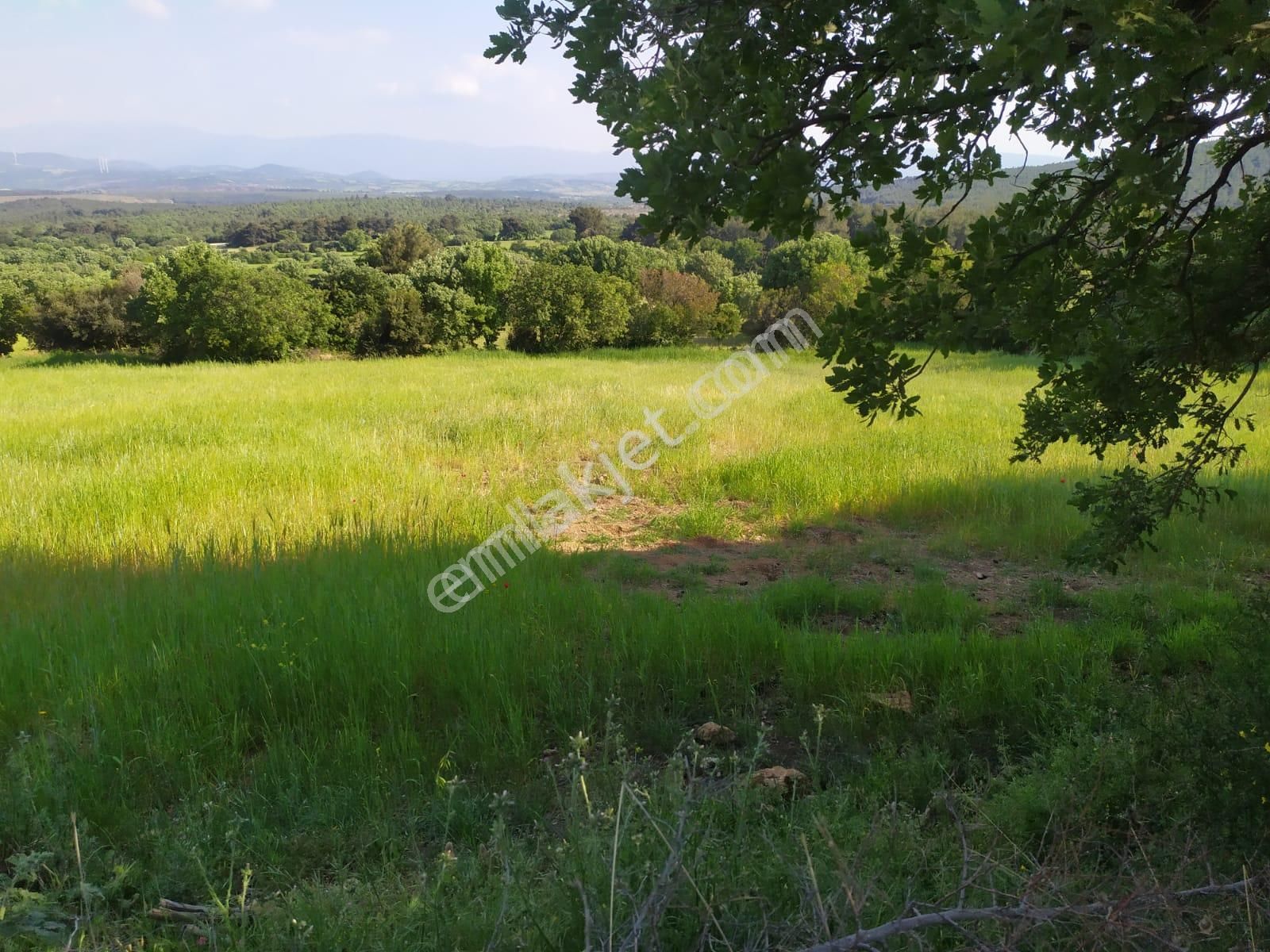 Beykoz Çavuçbaşın Da Satılık Arsa - Görsel 2
