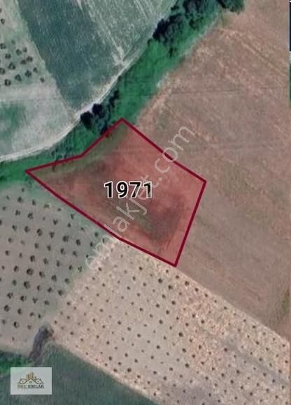 Nilüfer Konaklı | Otoyol Yakını | 291 M² Hisse Tapu Fırsatı - Görsel 6