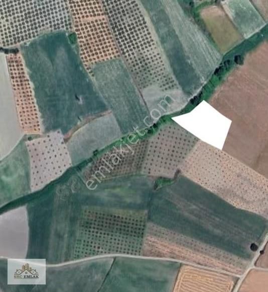 Nilüfer Konaklı | Otoyol Yakını | 291 M² Hisse Tapu Fırsatı