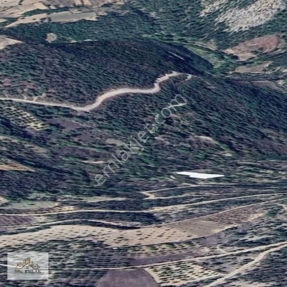 Bursa Keles Issızören'de Tek Tapu, Müstakil Parsel Yatırımı! - Görsel 2