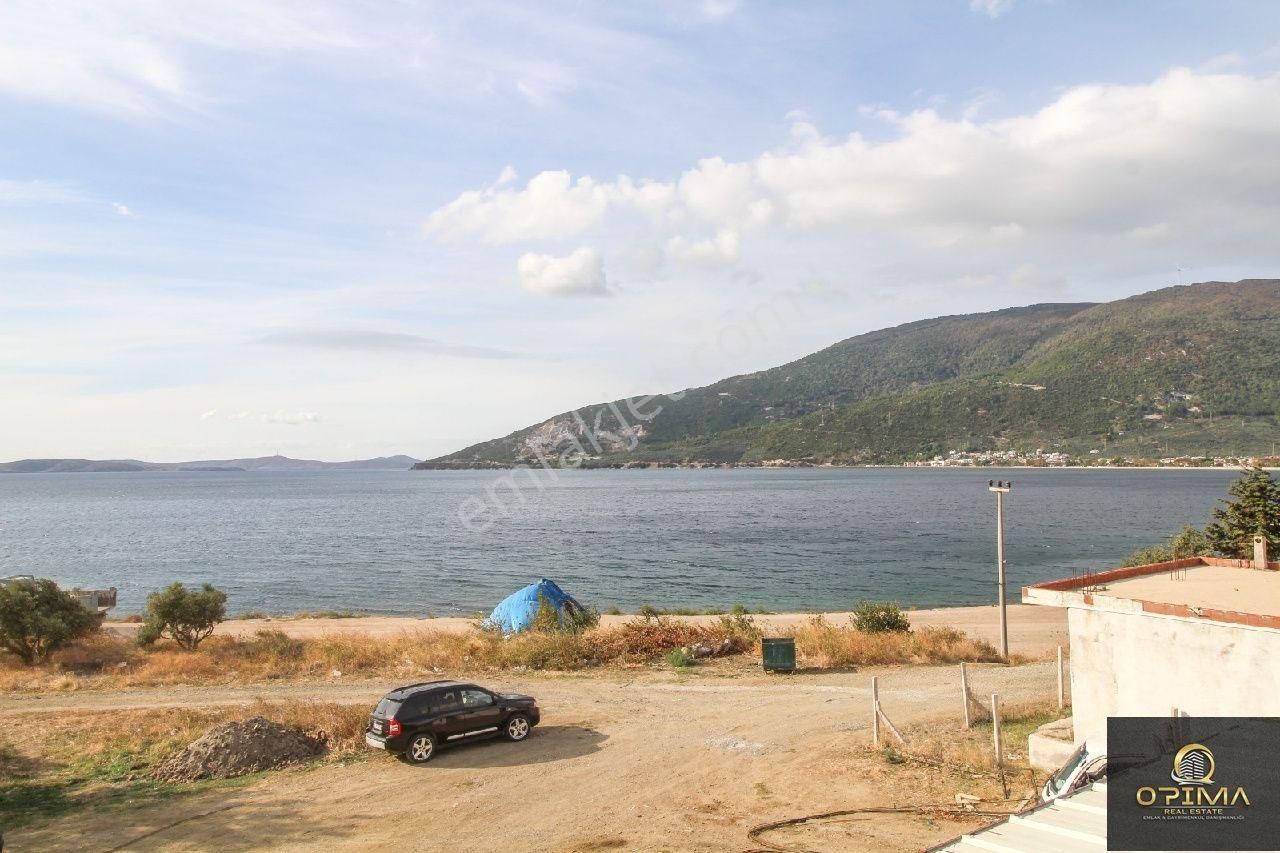 Opima Emlaktan Ocaklarda Şahane Deniz Manzaralı Satılık Zeytinlik - Görsel 9