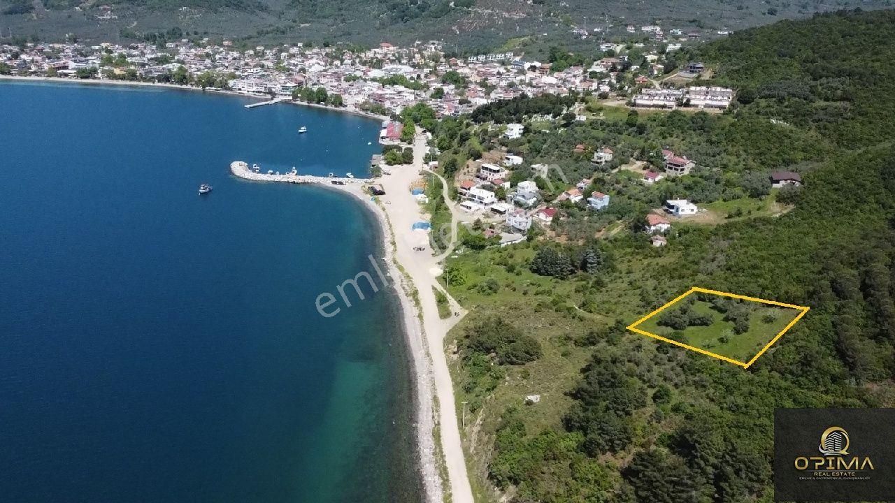 Opima Emlaktan Ocaklarda Şahane Deniz Manzaralı Satılık Zeytinlik - Görsel 5