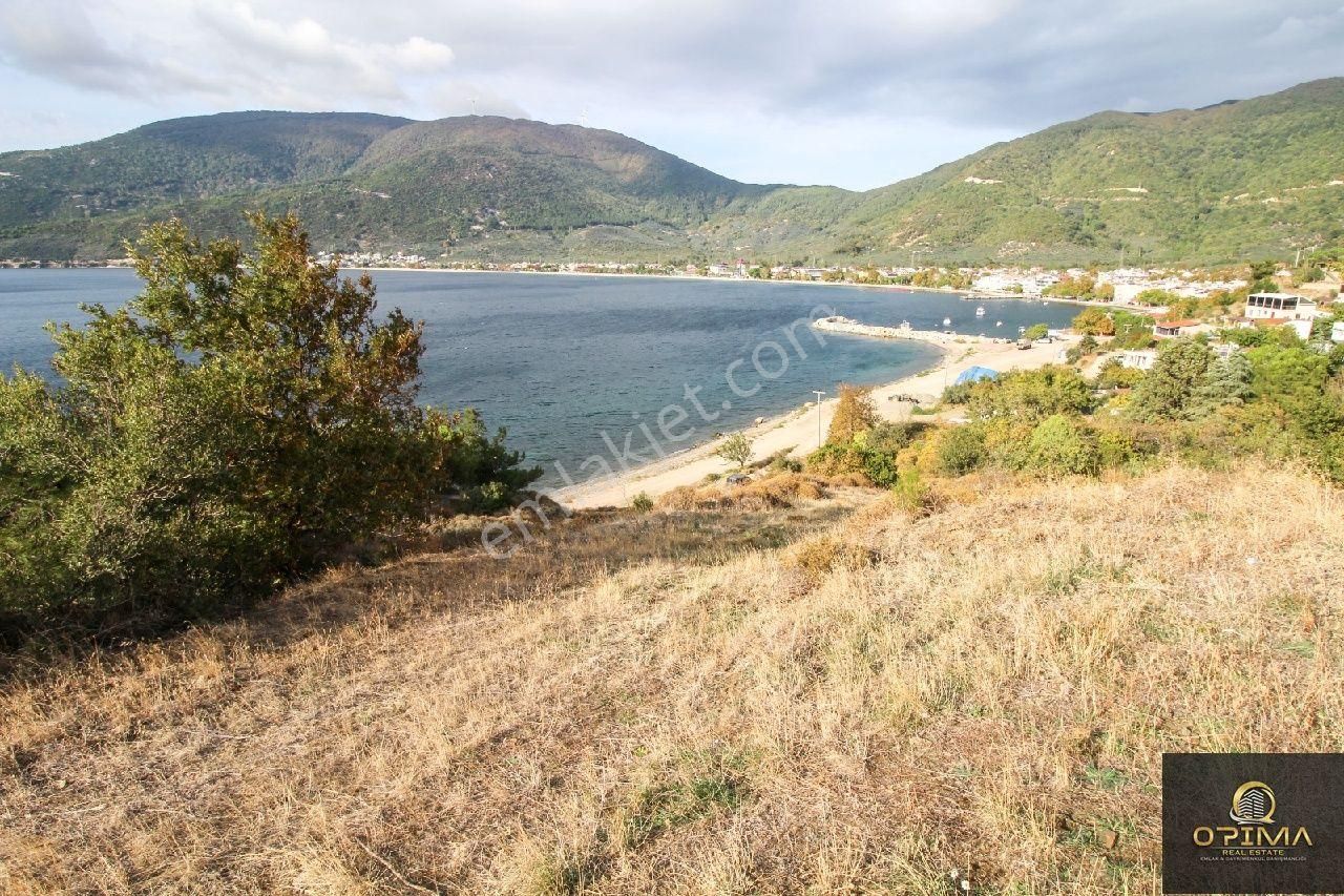 Opima Emlaktan Ocaklarda Şahane Deniz Manzaralı Satılık Zeytinlik