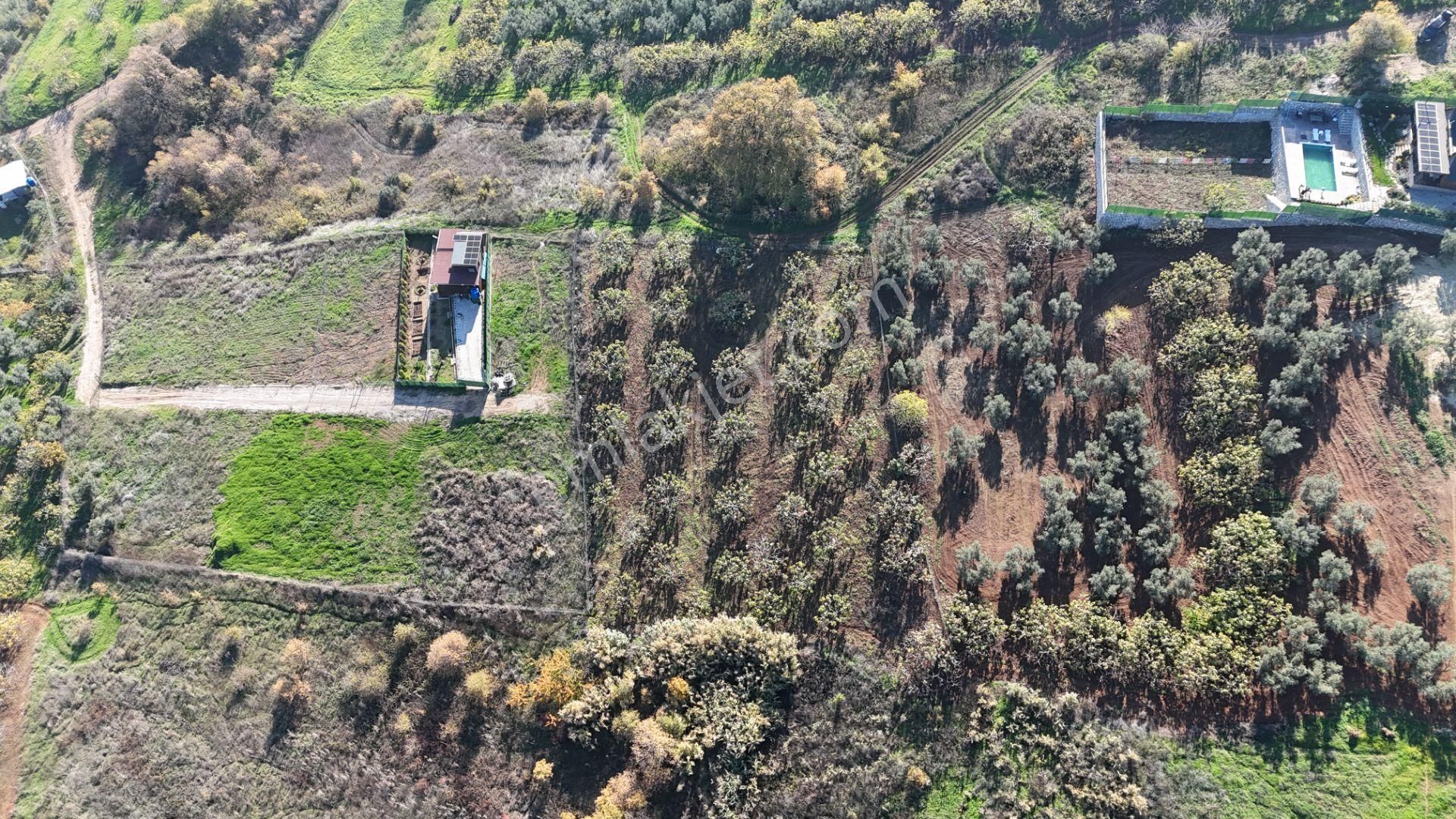 Gündoğdu Dürdane Mevkii 2.774 M2 Müstakil Parsel Satılık Tarla - Görsel 13