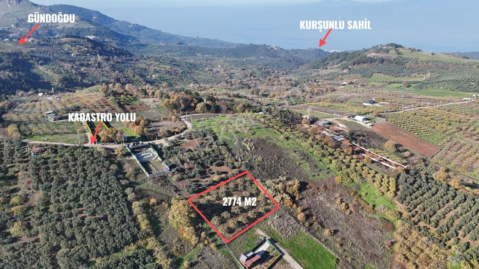 Gündoğdu Dürdane Mevkii 2.774 M2 Müstakil Parsel Satılık Tarla - Görsel 3