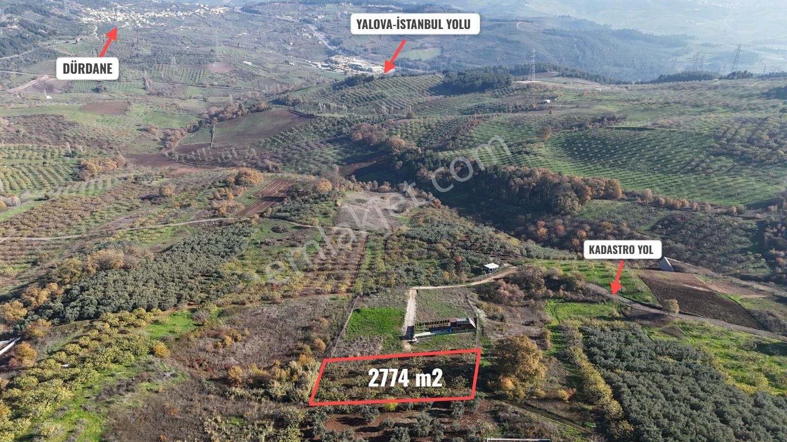 Gündoğdu Dürdane Mevkii 2.774 M2 Müstakil Parsel Satılık Tarla - Görsel 2