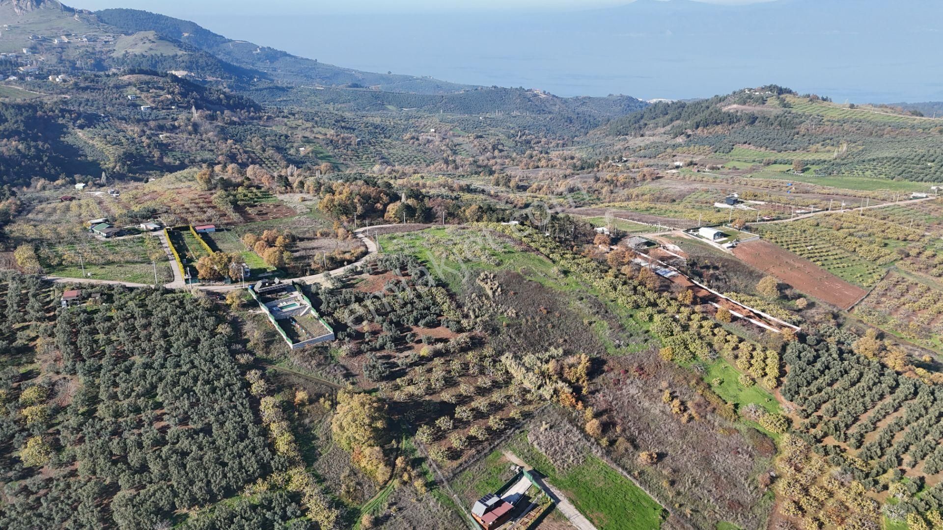 Gündoğdu Dürdane Mevkii 2.774 M2 Müstakil Parsel Satılık Tarla - Görsel 8