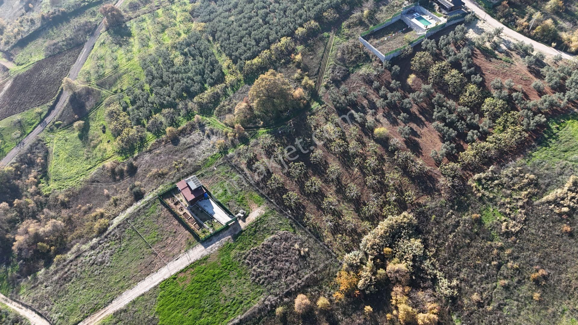 Gündoğdu Dürdane Mevkii 2.774 M2 Müstakil Parsel Satılık Tarla - Görsel 14