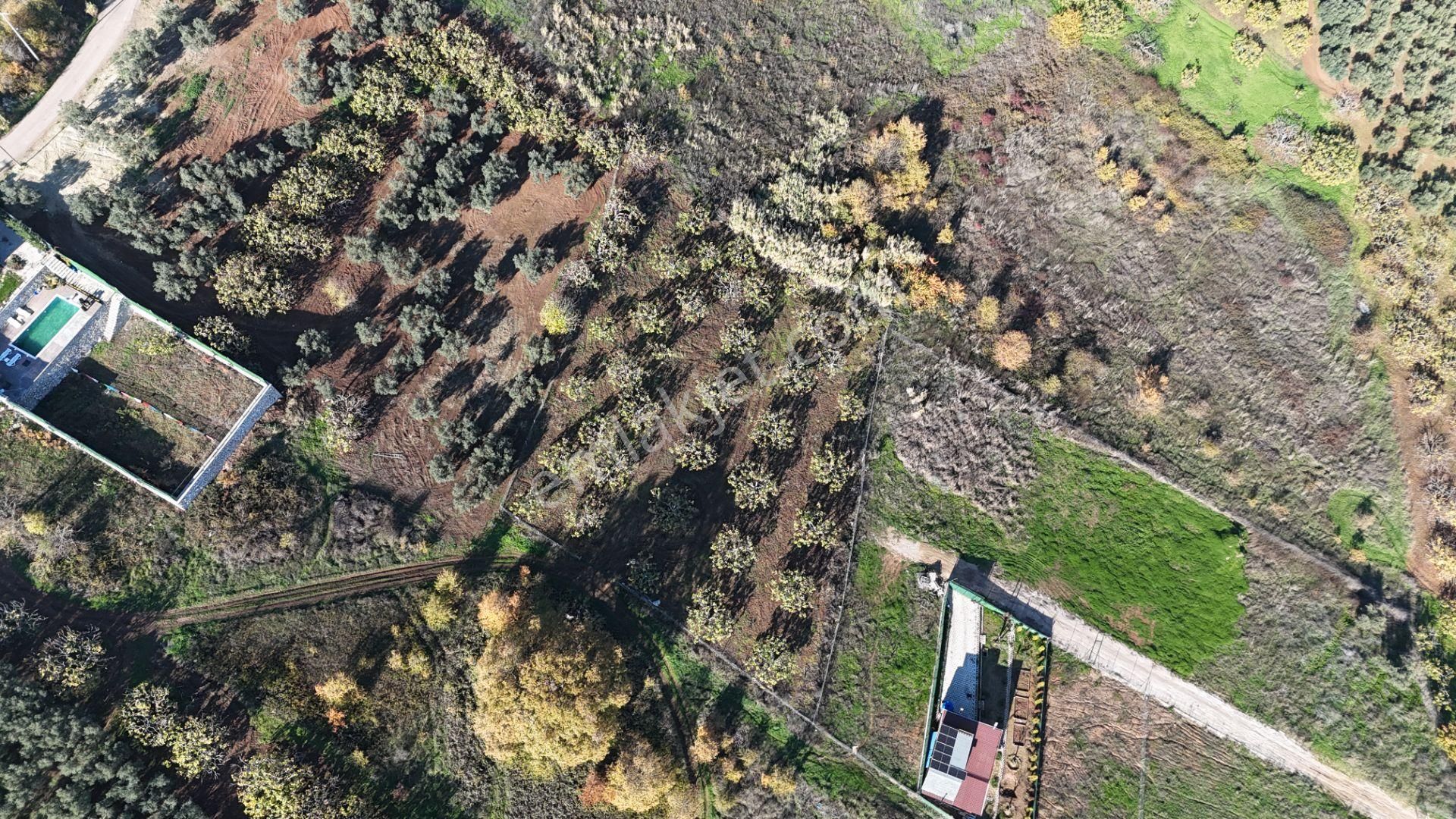 Gündoğdu Dürdane Mevkii 2.774 M2 Müstakil Parsel Satılık Tarla - Görsel 11