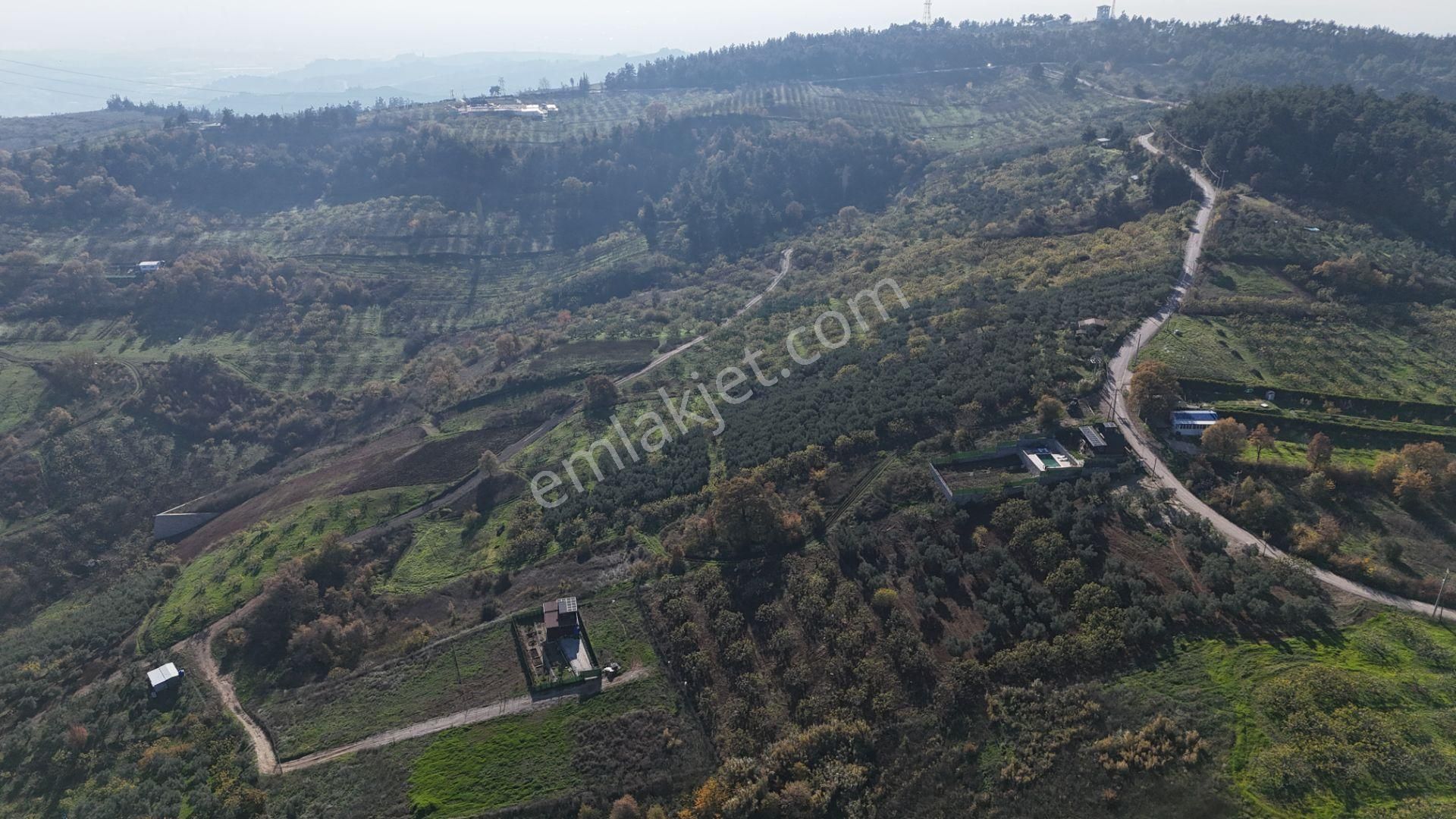 Gündoğdu Dürdane Mevkii 2.774 M2 Müstakil Parsel Satılık Tarla - Görsel 6