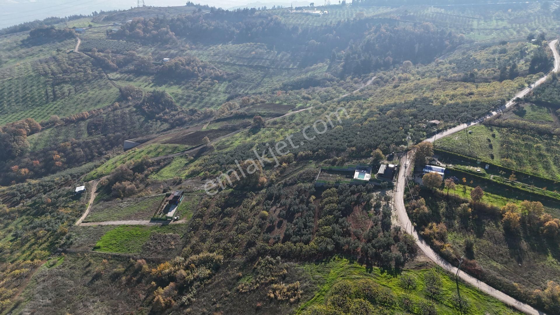 Gündoğdu Dürdane Mevkii 2.774 M2 Müstakil Parsel Satılık Tarla - Görsel 5
