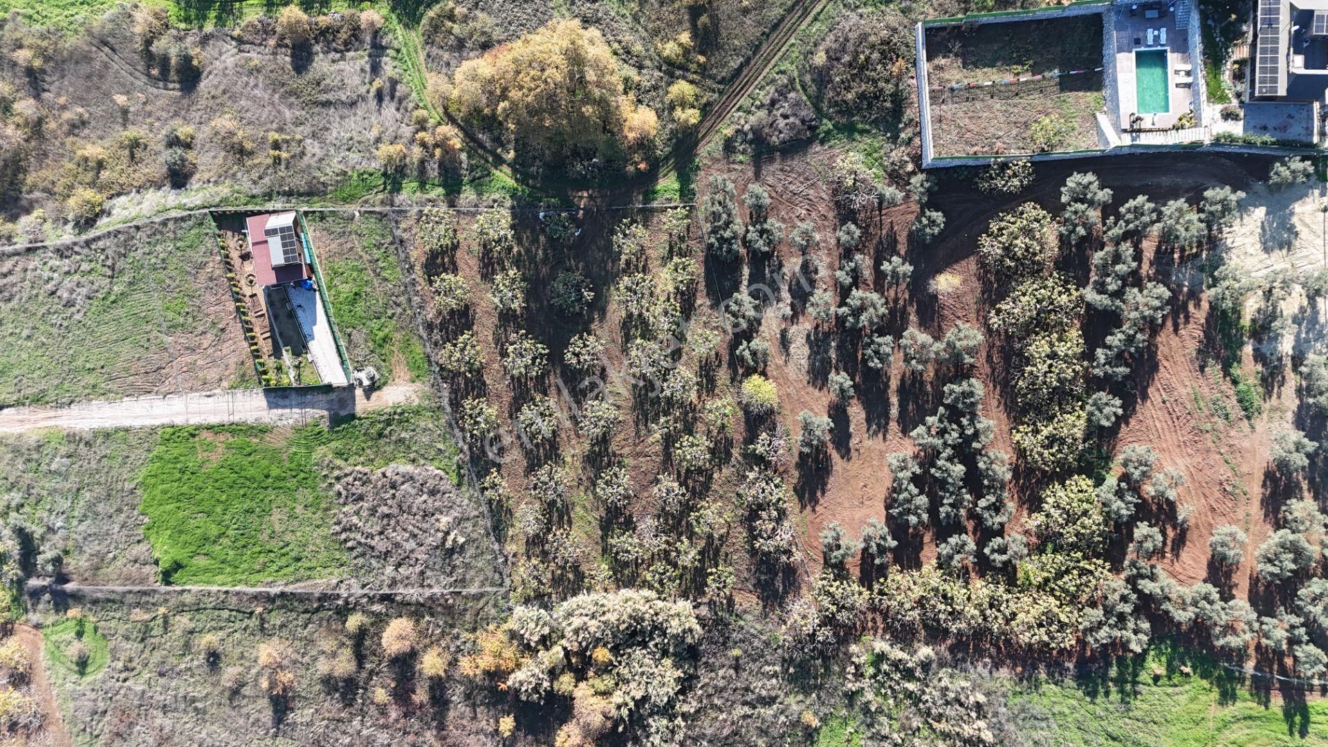 Gündoğdu Dürdane Mevkii 2.774 M2 Müstakil Parsel Satılık Tarla - Görsel 16