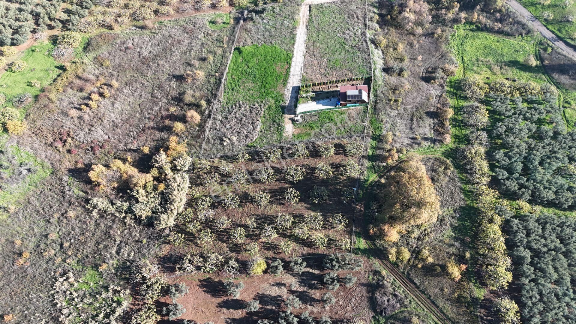 Gündoğdu Dürdane Mevkii 2.774 M2 Müstakil Parsel Satılık Tarla - Görsel 12