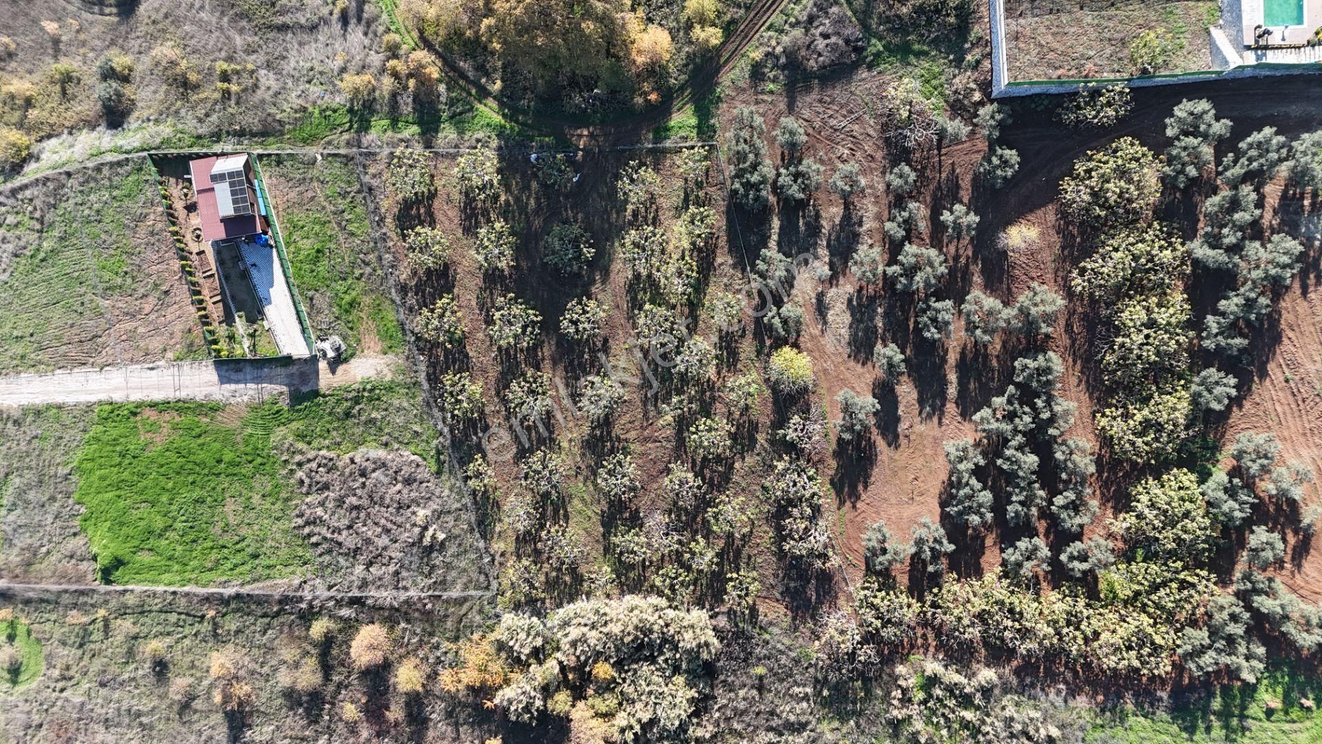 Gündoğdu Dürdane Mevkii 2.774 M2 Müstakil Parsel Satılık Tarla - Görsel 15