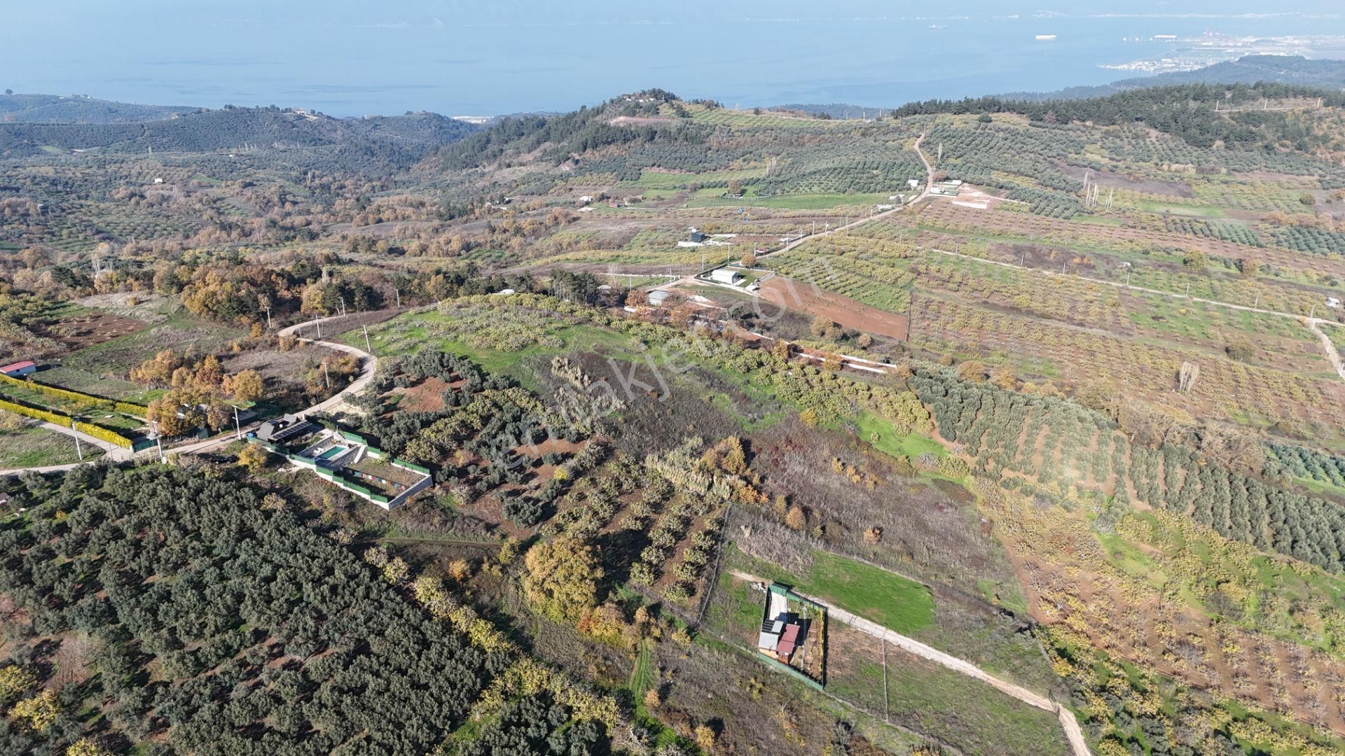 Gündoğdu Dürdane Mevkii 2.774 M2 Müstakil Parsel Satılık Tarla - Görsel 9