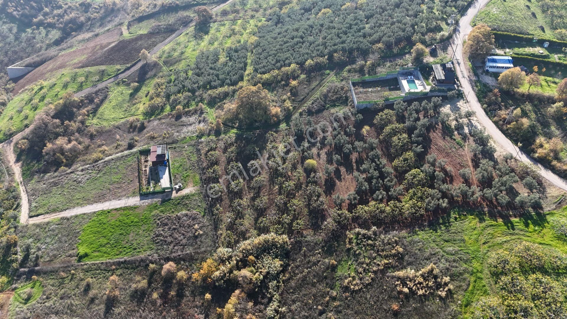 Gündoğdu Dürdane Mevkii 2.774 M2 Müstakil Parsel Satılık Tarla - Görsel 17
