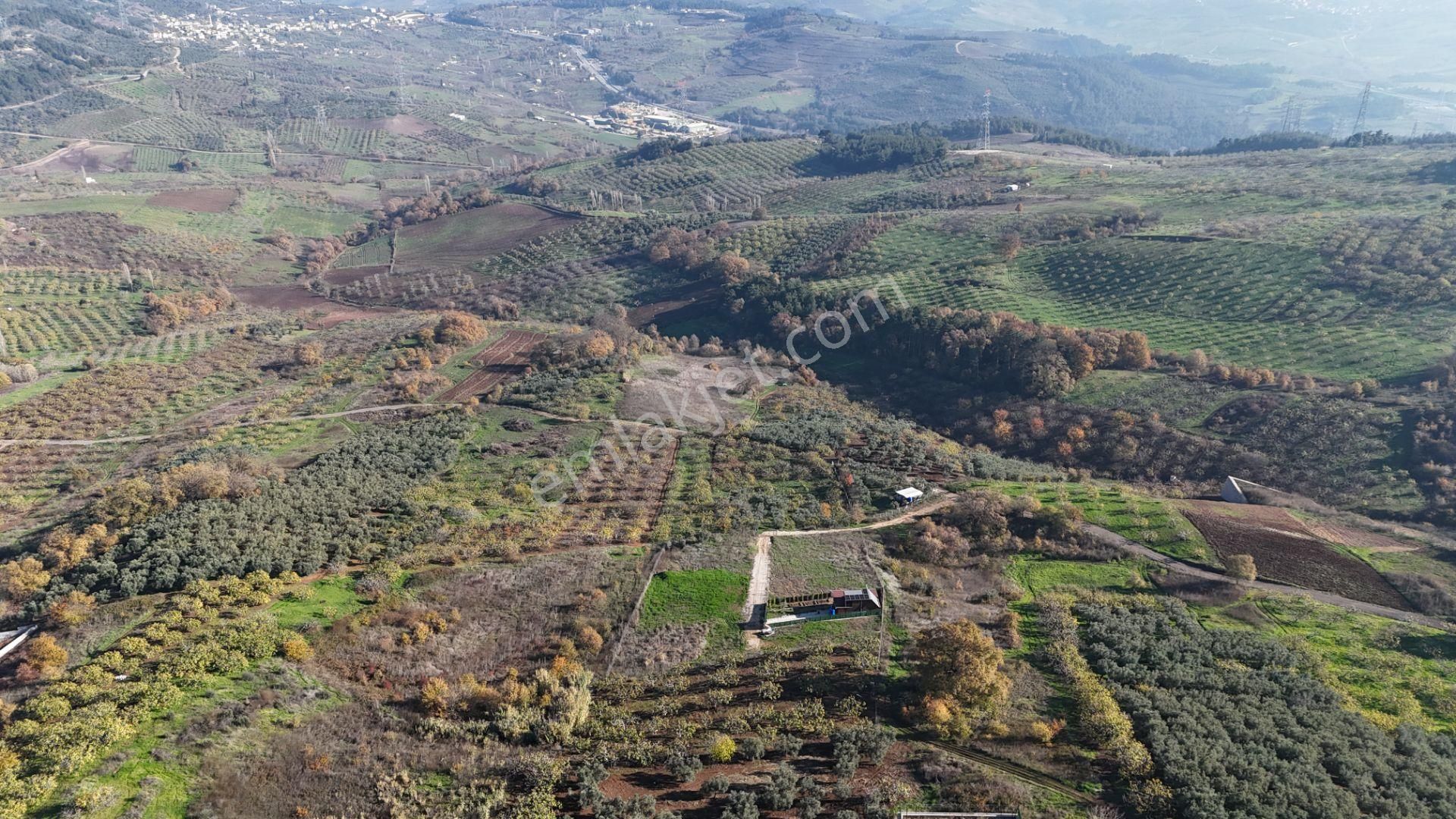 Gündoğdu Dürdane Mevkii 2.774 M2 Müstakil Parsel Satılık Tarla - Görsel 4