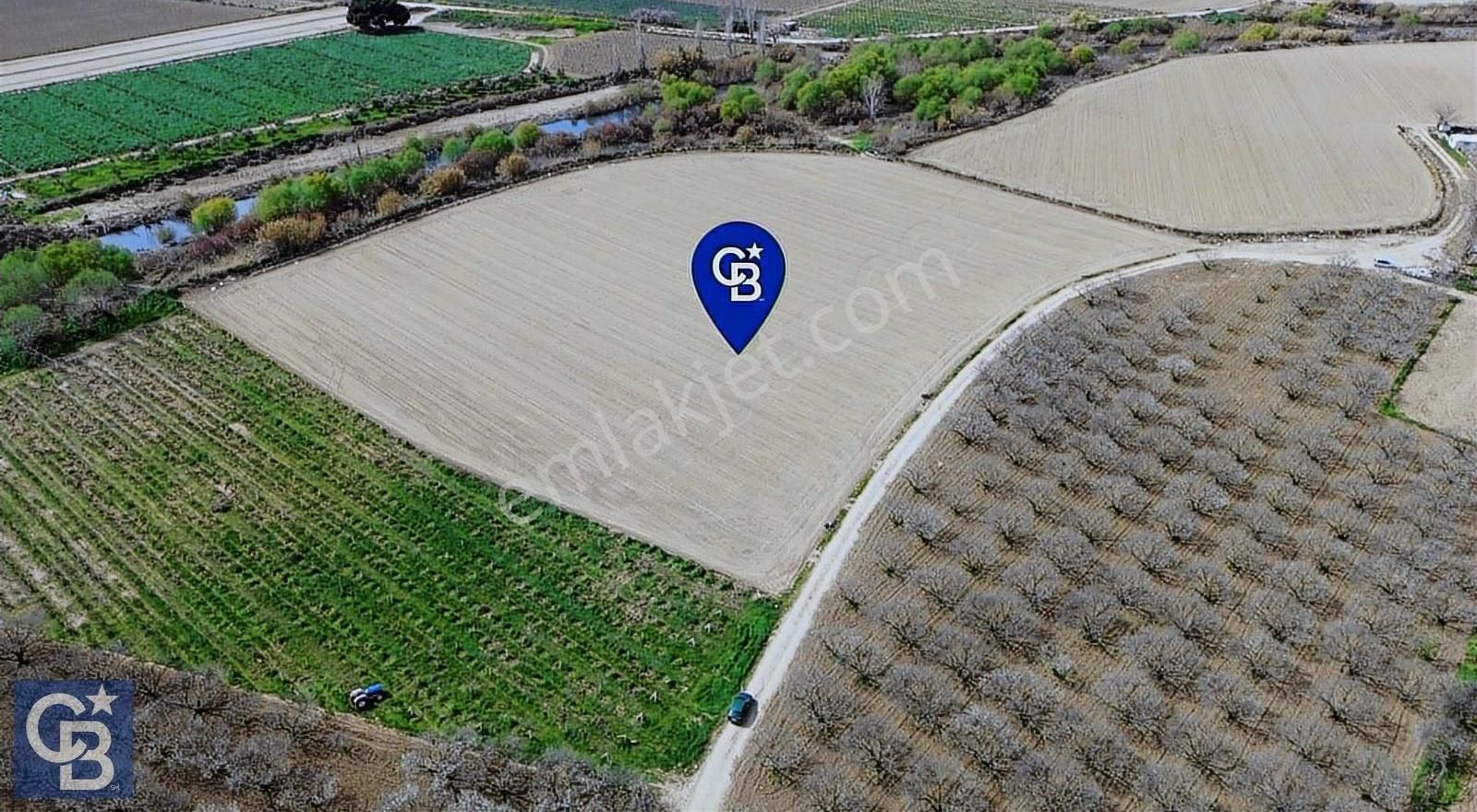 Buruncuk'ta Gediz Kenarında Çok Verimli 17.416 M2 Satılık Tarla - Görsel 4
