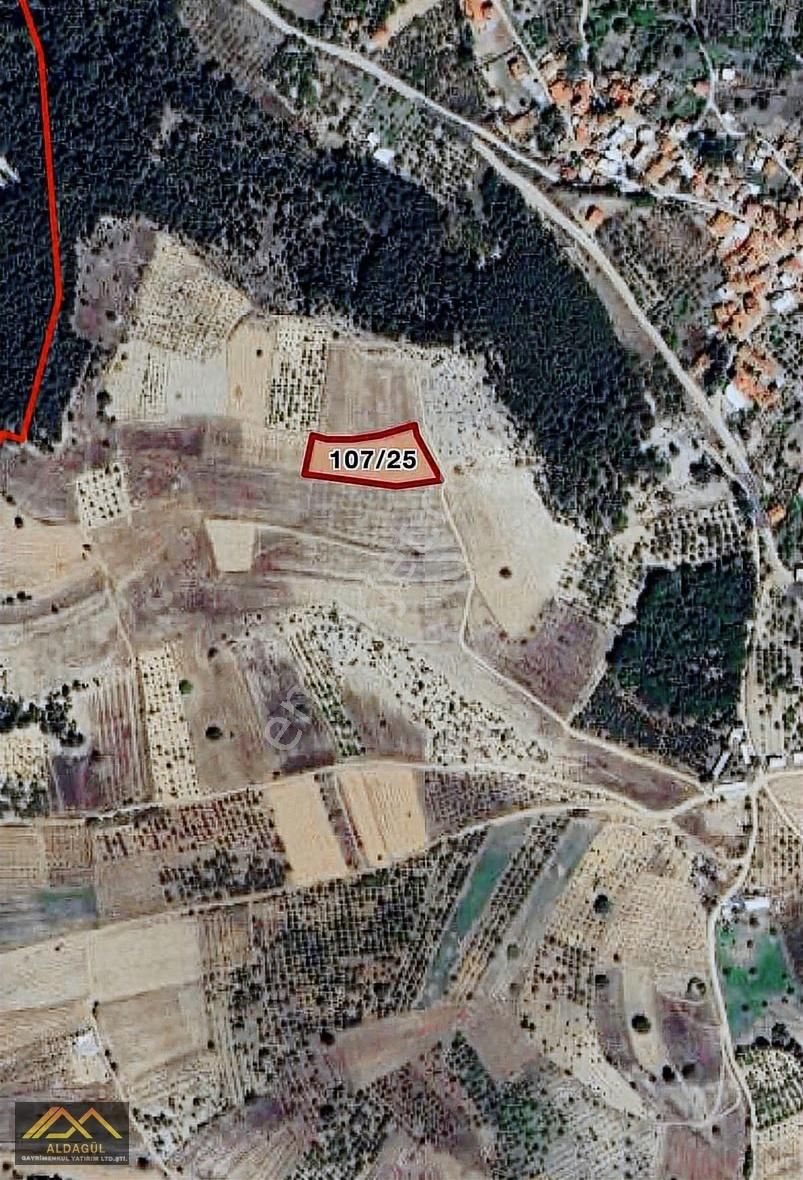 Keles Akçapınarda Satılık Tarla....