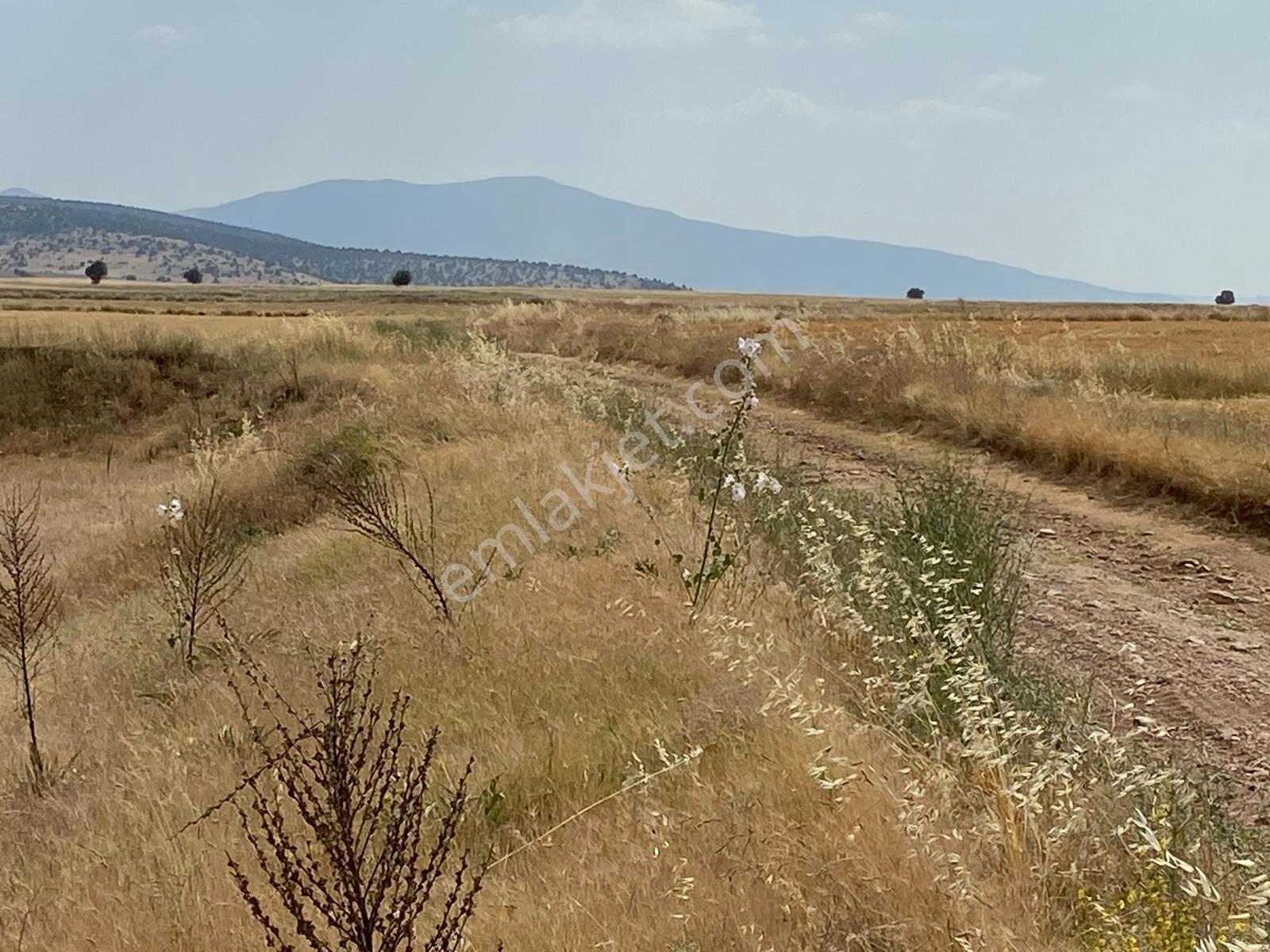 Sarayönü Ladik'te Satılık 19.776 M Müsakil Parsel - Görsel 9