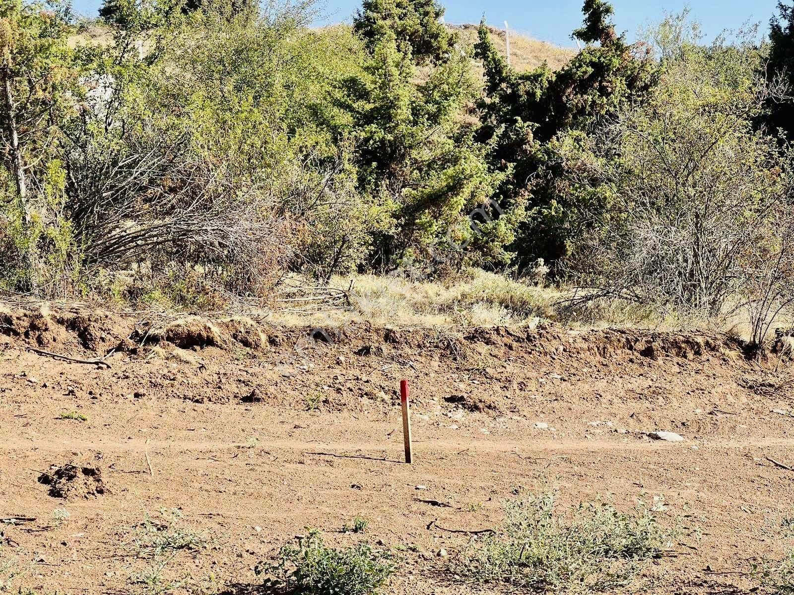 Nova Kahramankazan'dan Sancarda Tek Tapulu Yolu Olan Bağ - Görsel 25